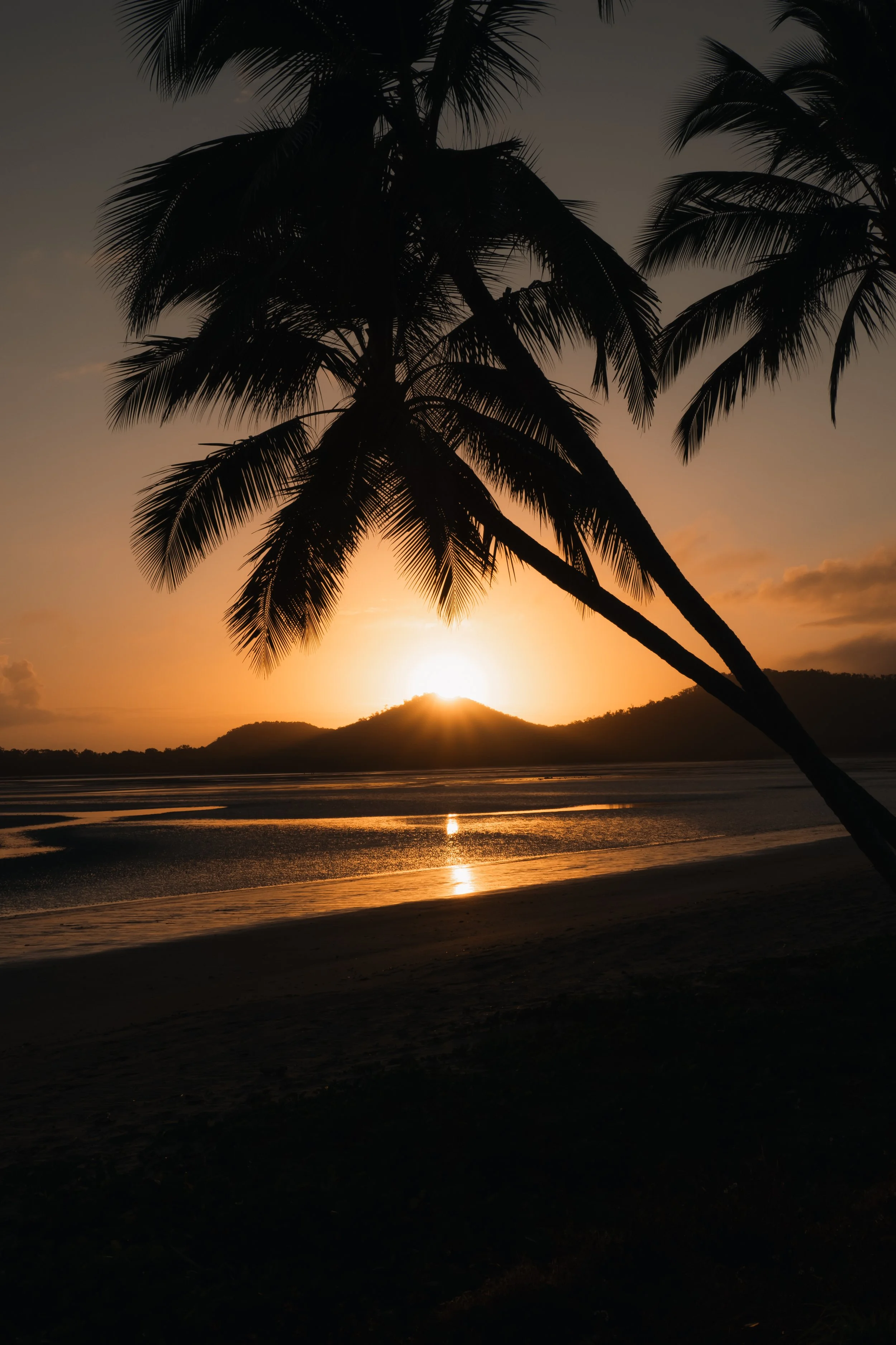 Coucher de soleil derrière des collines, vue de la plage avec oblique de palmier au premier plan.