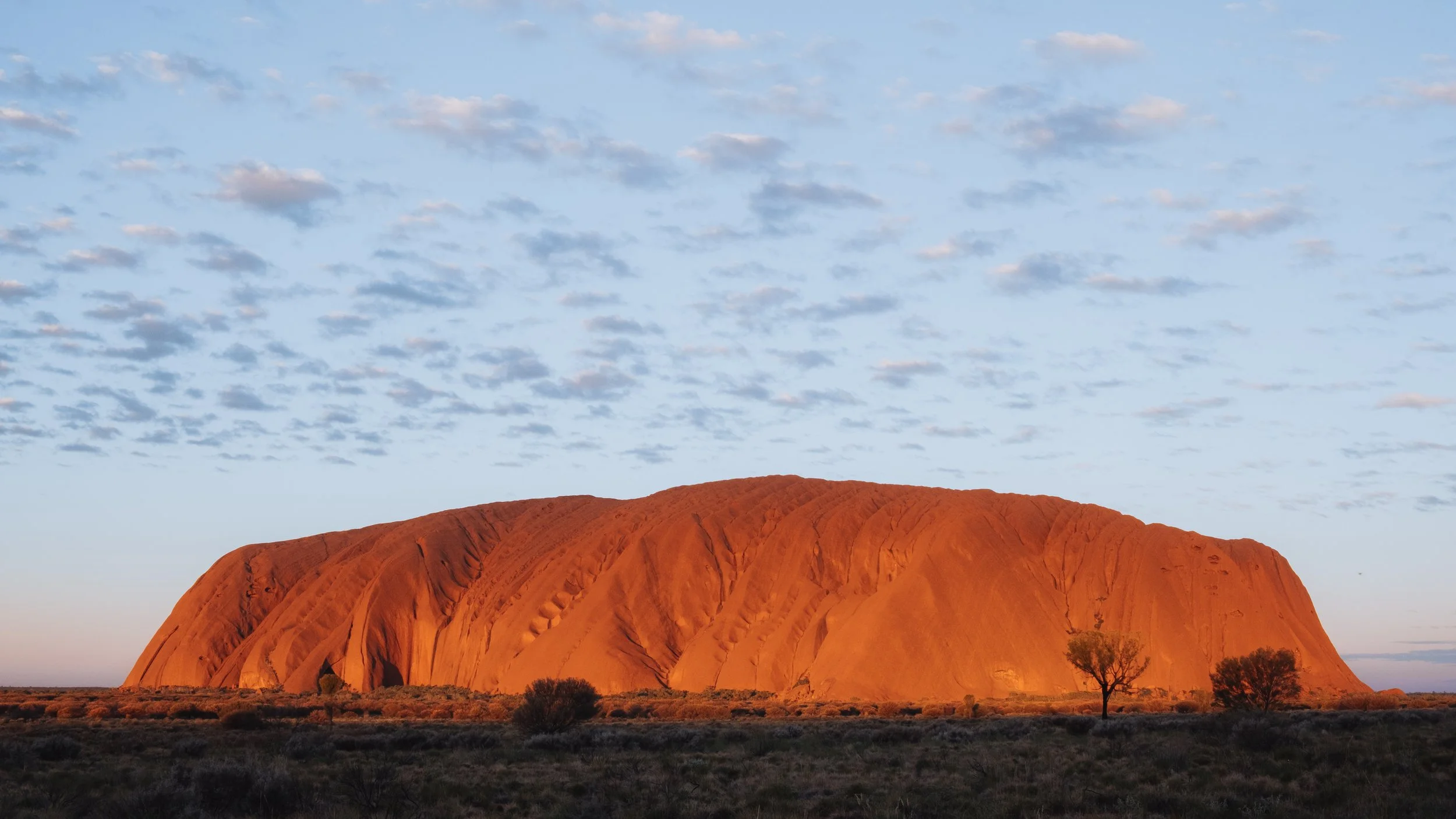 Montagne Ayers Rock (Uluru) au coucher du soleil, avec un ciel partiellement nuageux et quelques arbres au premier plan.