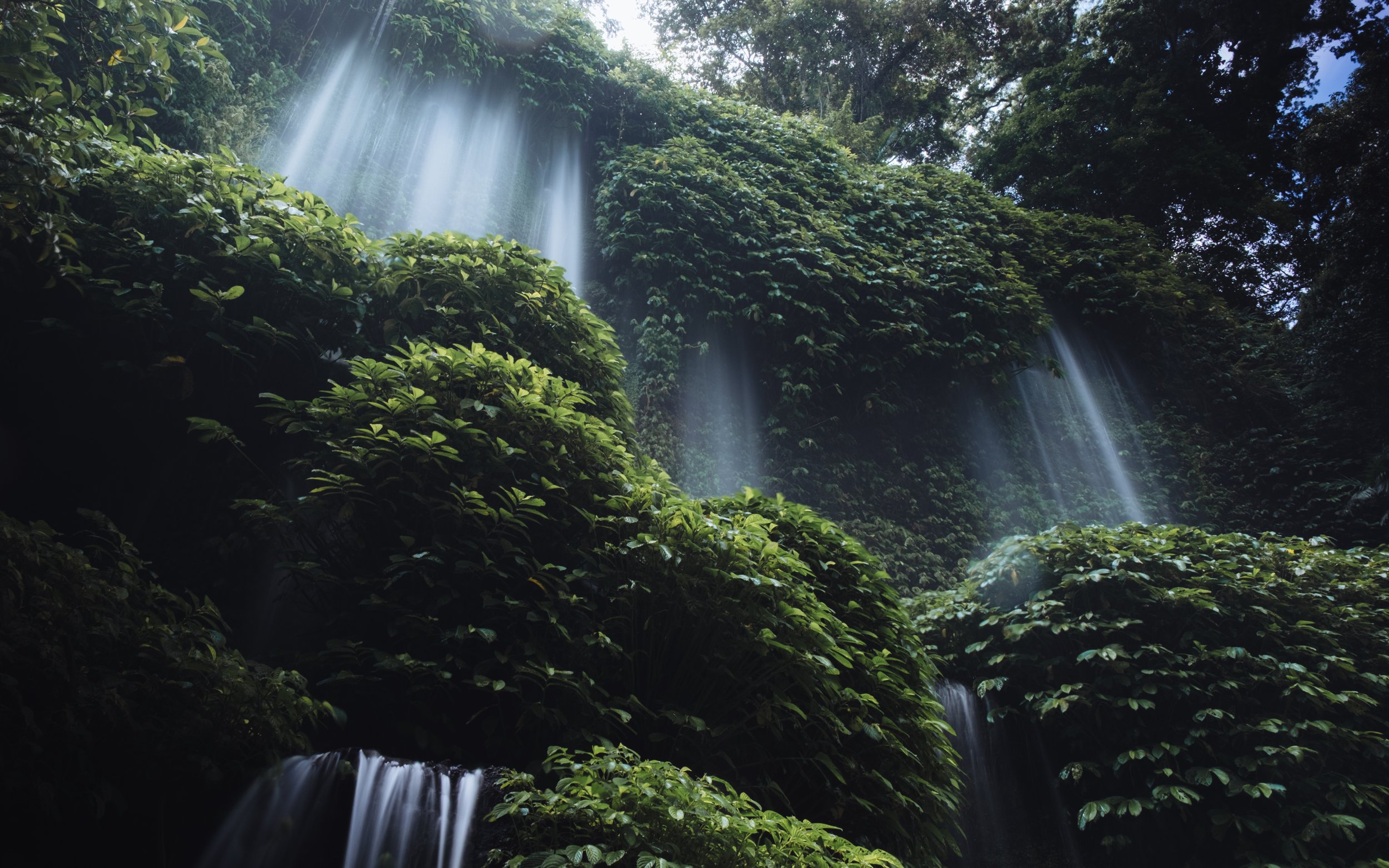 Chute d'eau dans une forêt tropicale, entourée de végétation dense et verdoyante.