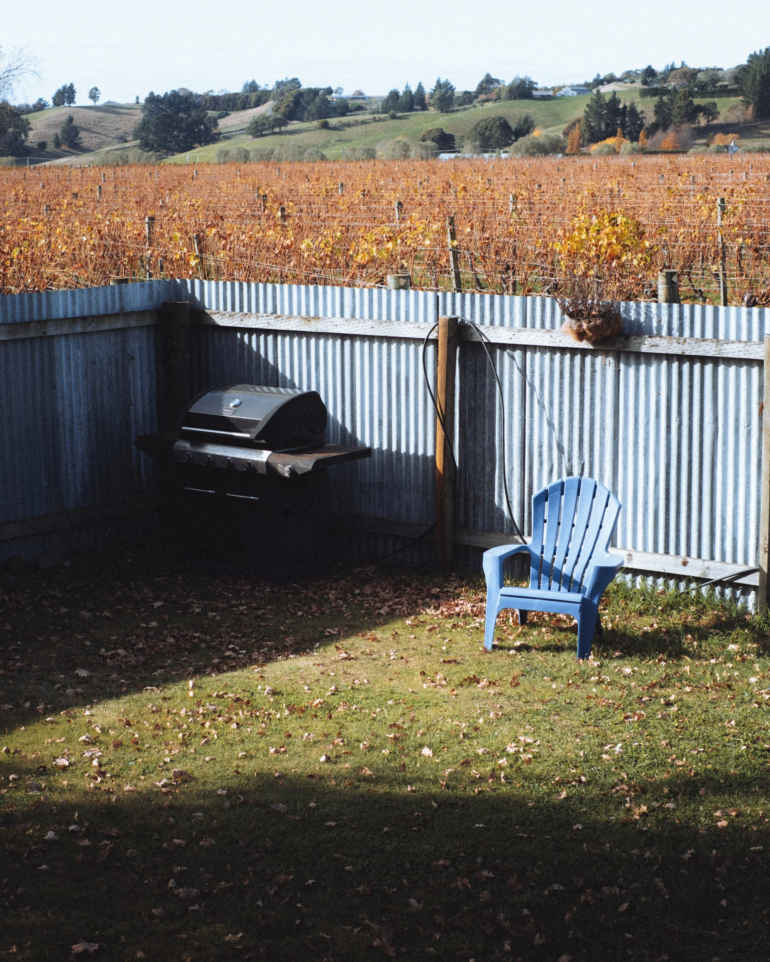 Une vue d'un espace extérieur avec un barbecue noir sur une table en bois, une chaise en plastique bleue, une clôture en métal, et un champ de vignes avec des collines en arrière-plan en automne.