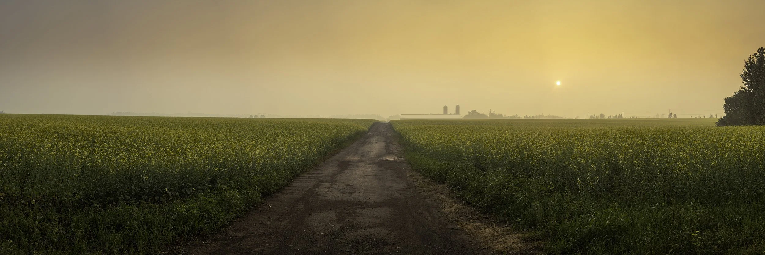 Road to Abundance.jpg