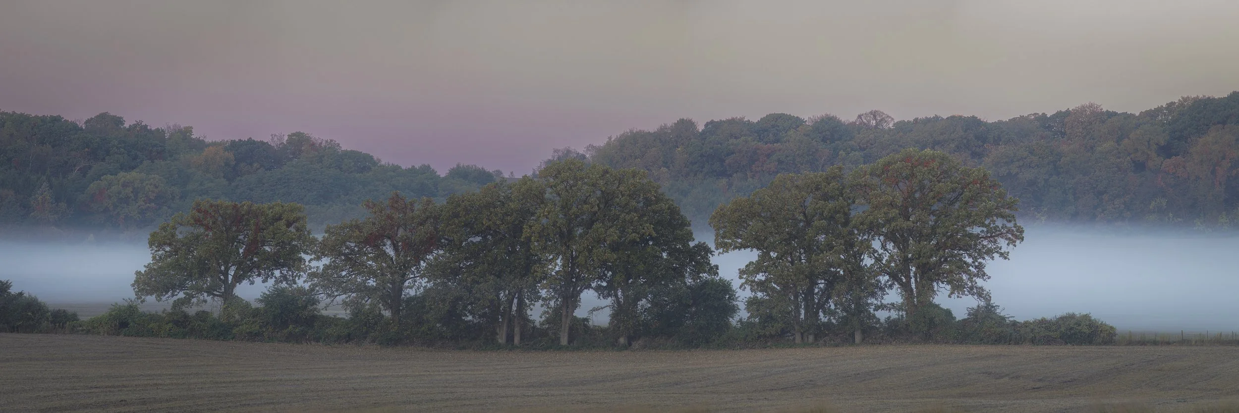 Through the fog.jpg