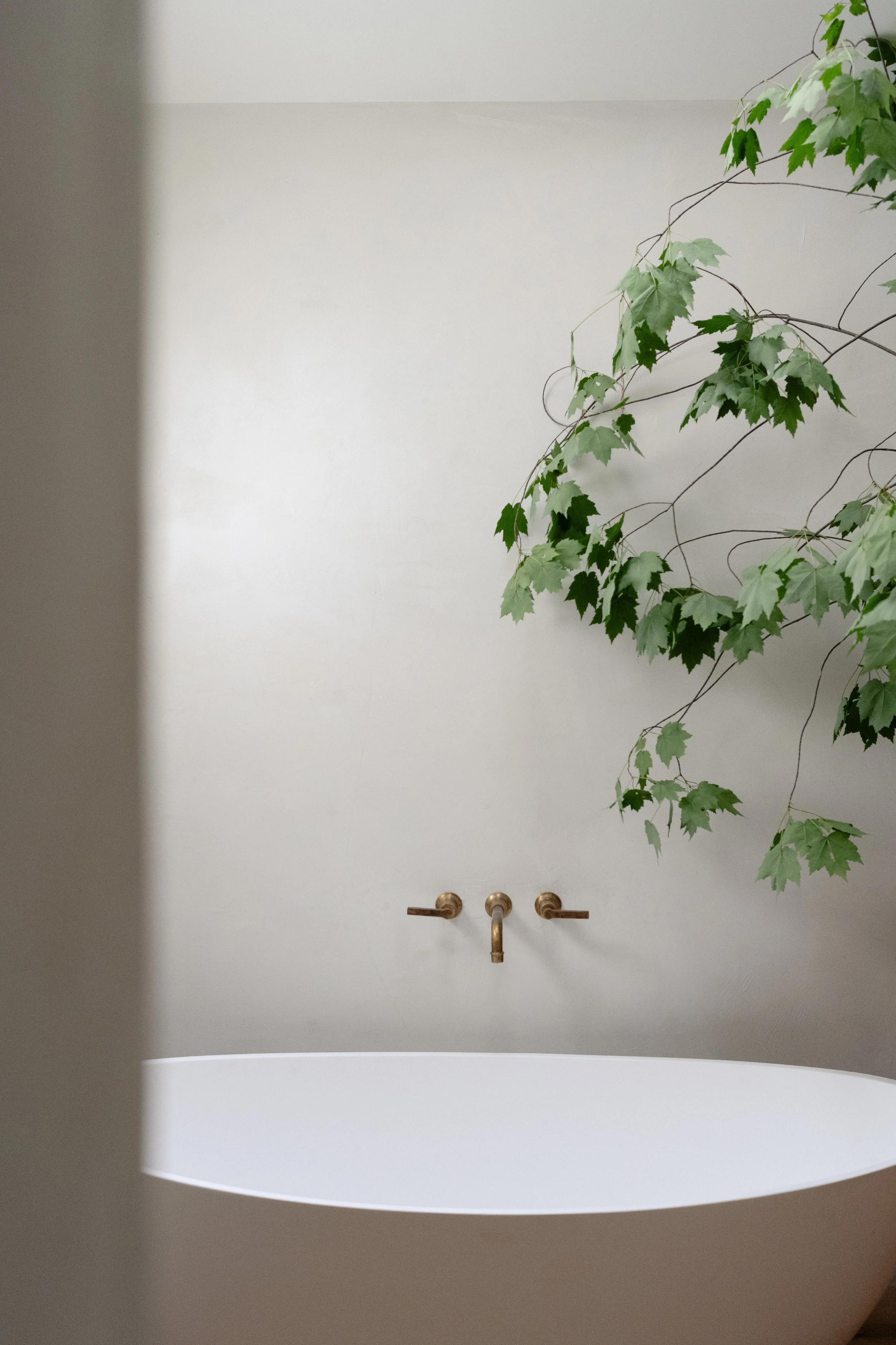 A photo of the master bathroom freestanding tub. Light is pouring over the tub from the skylight. Green tree limbs spill over the wall towards the tub.