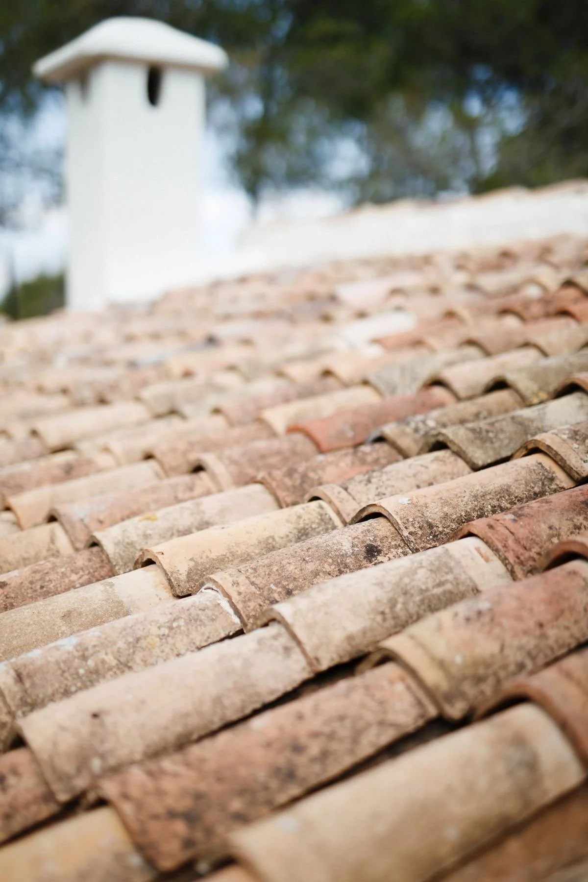 Close-up view of a tiled roof with weathered terracotta tiles, with a blurry chimney and trees in the background.
