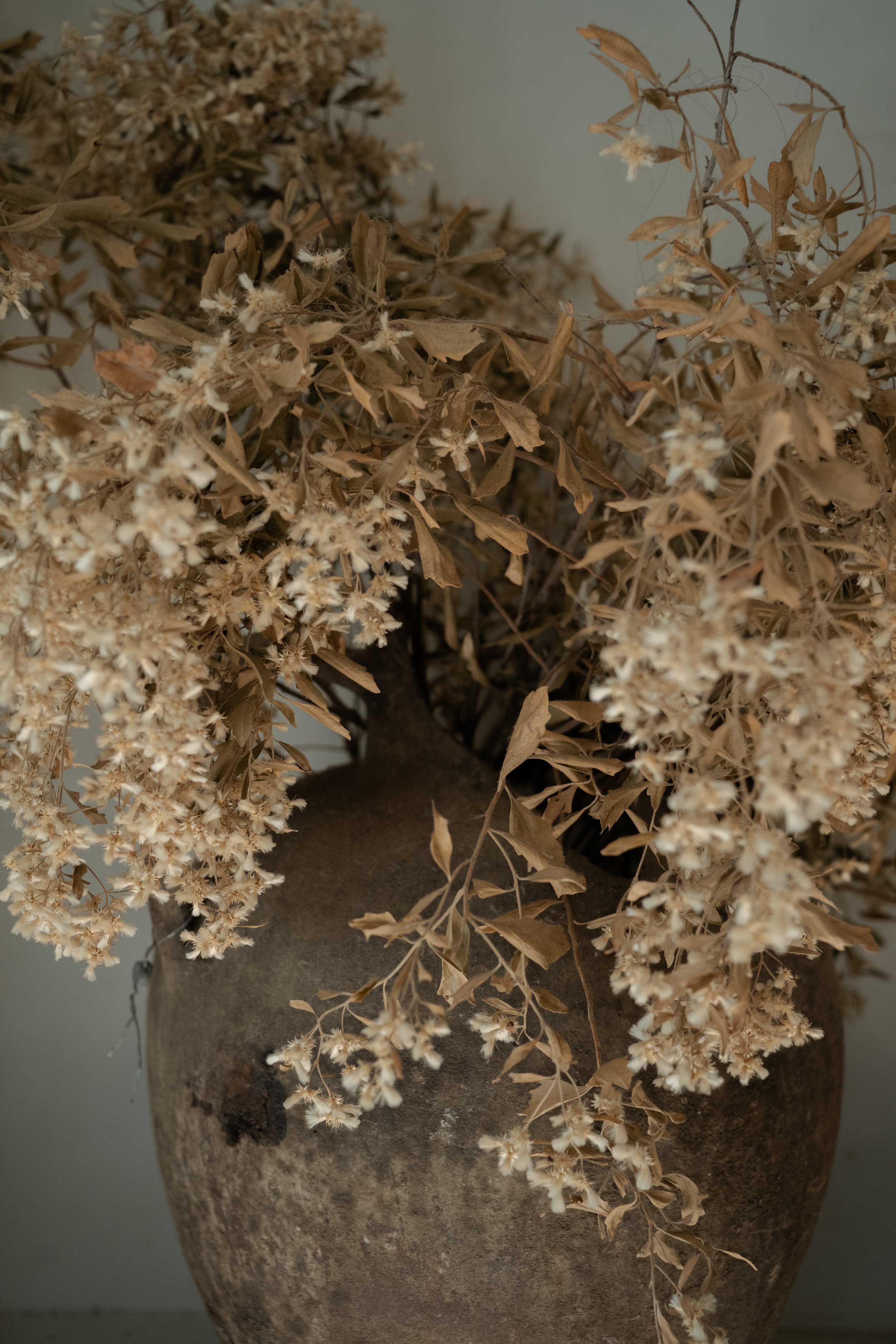 An image of a close up shot of dried flowers in a terracotta vase.