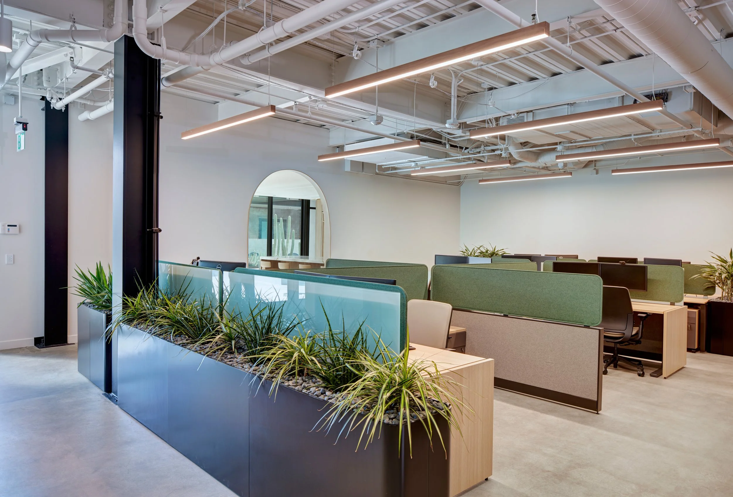Open Plan.jpg