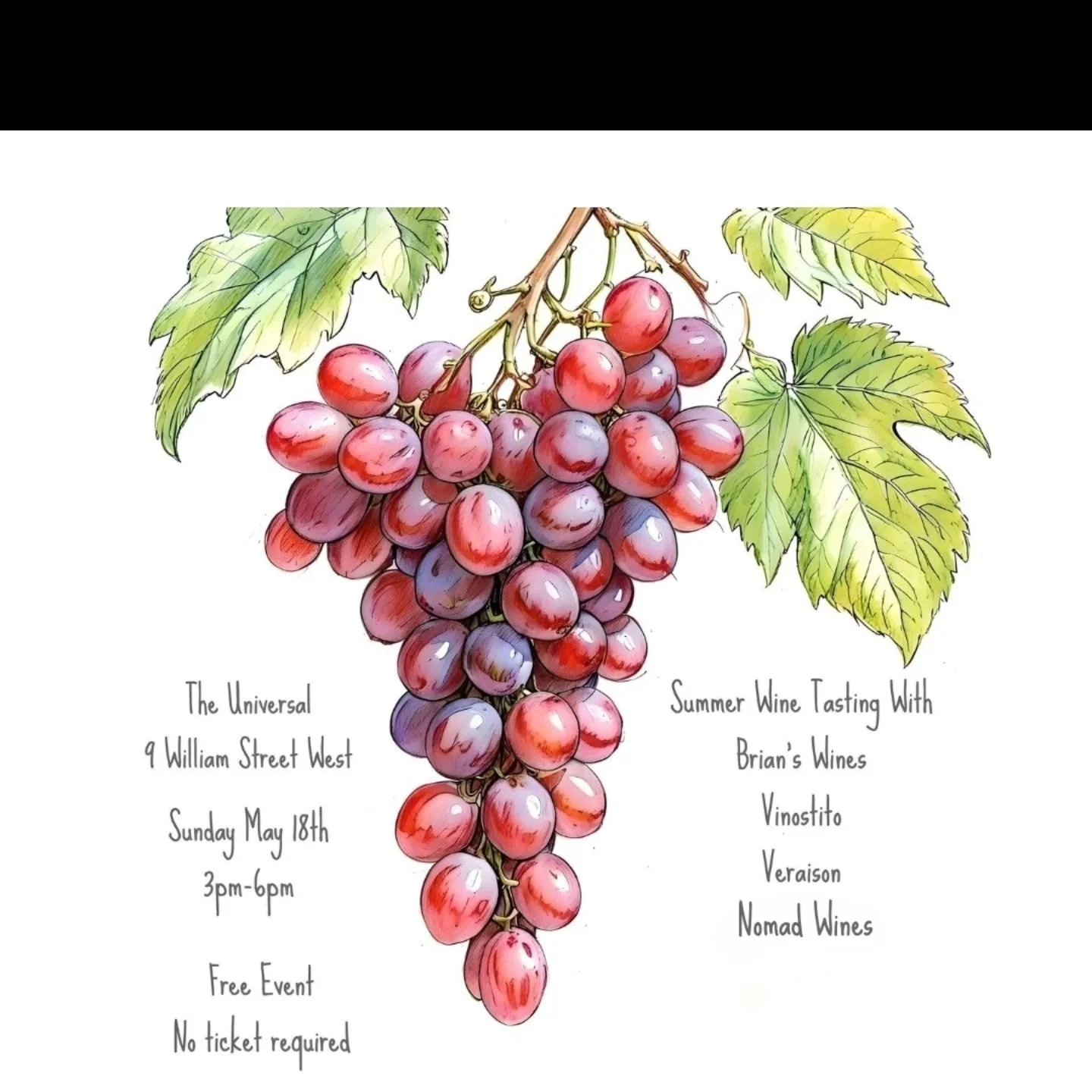 Our annual summer wine tasting returns on Sunday, May 18th, from 3pm to 6pm.