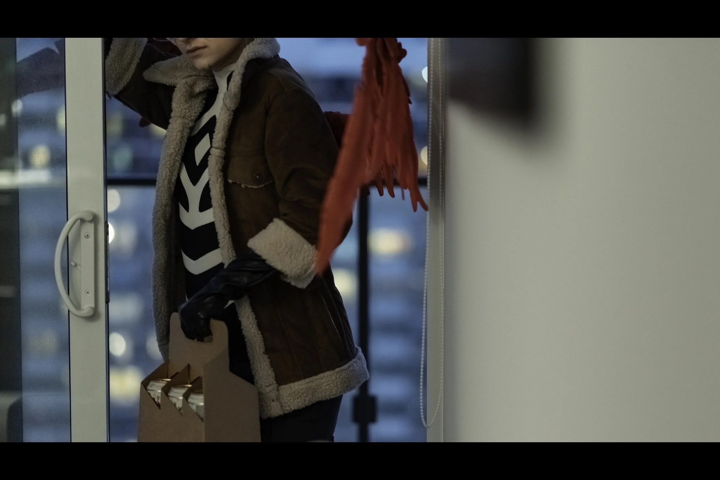 Hawks entering the condo through the sliding glass door.