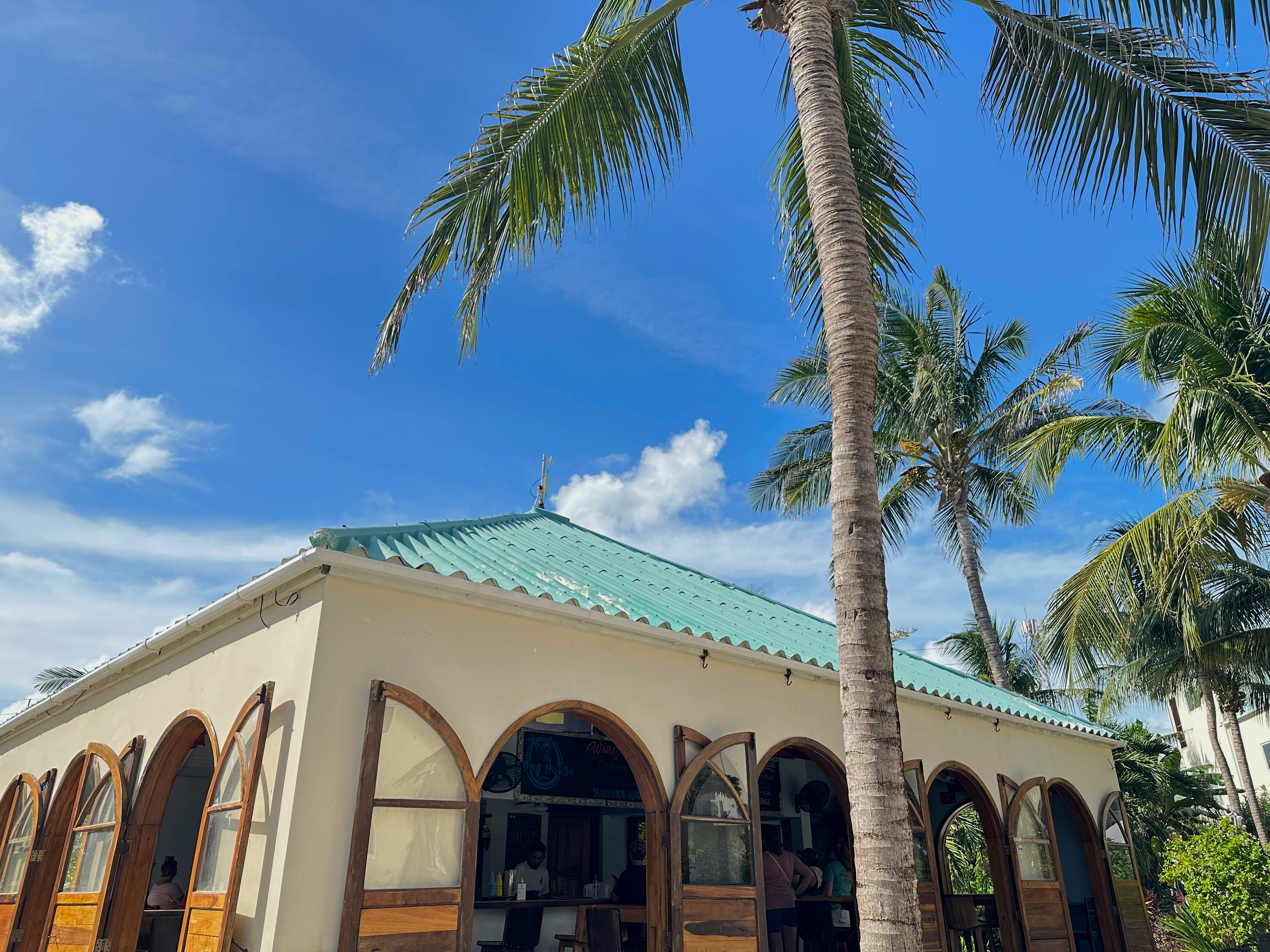 A tropical scene with tall palm trees in front of a building with arched windows and a green metal roof, under a bright blue sky with some clouds.