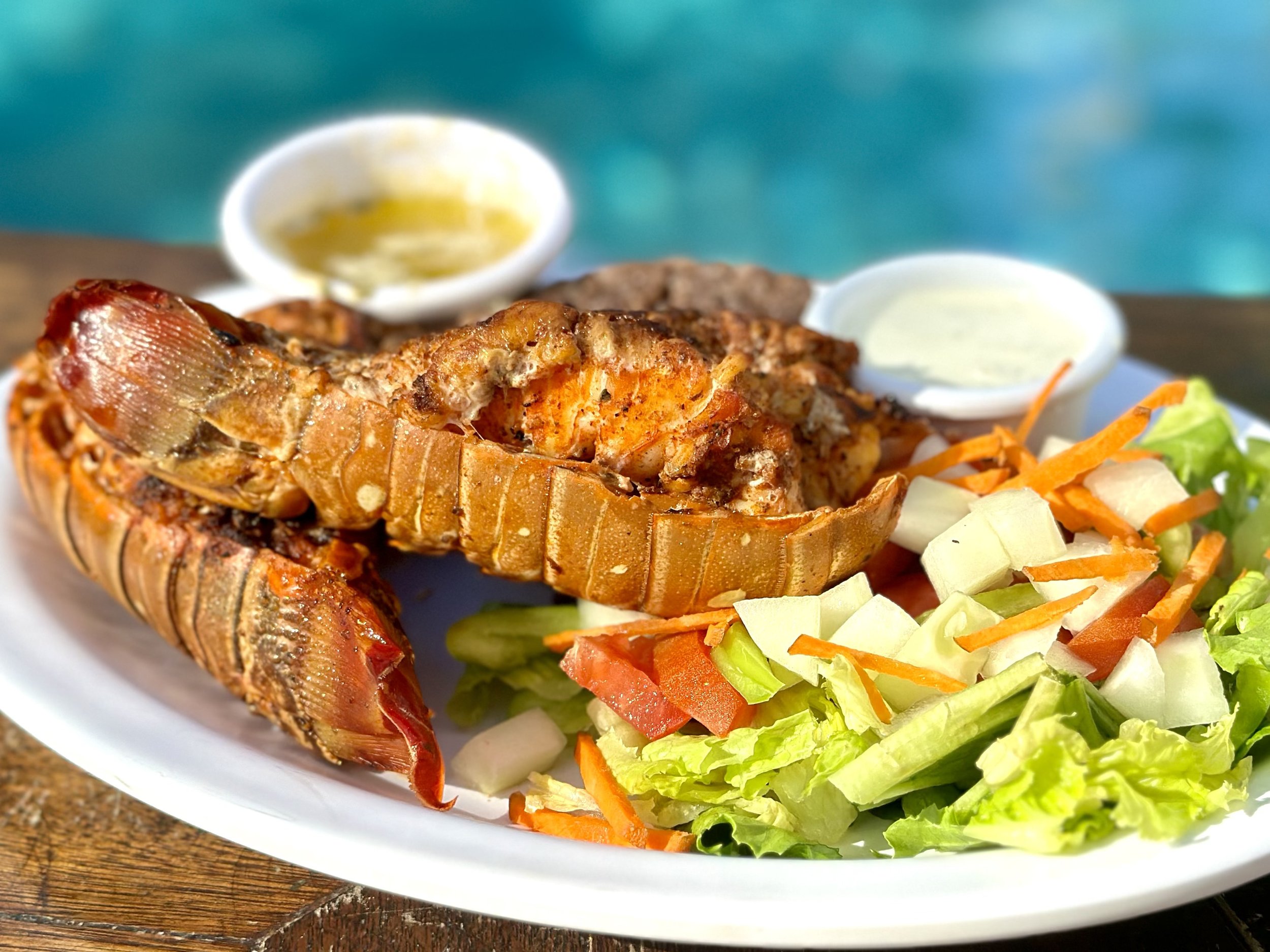 Grilled lobster tail served with two small bowls of melted butter or sauce, a side of mixed salad with lettuce, carrots, tomatoes, and cucumbers, placed on a white plate with a blurred aquatic background.