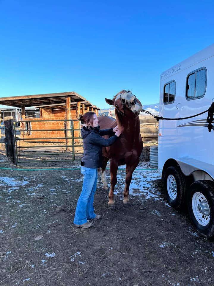 A woman massaging a brown and white horse near a horse trailer on a farm with a clear blue sky.