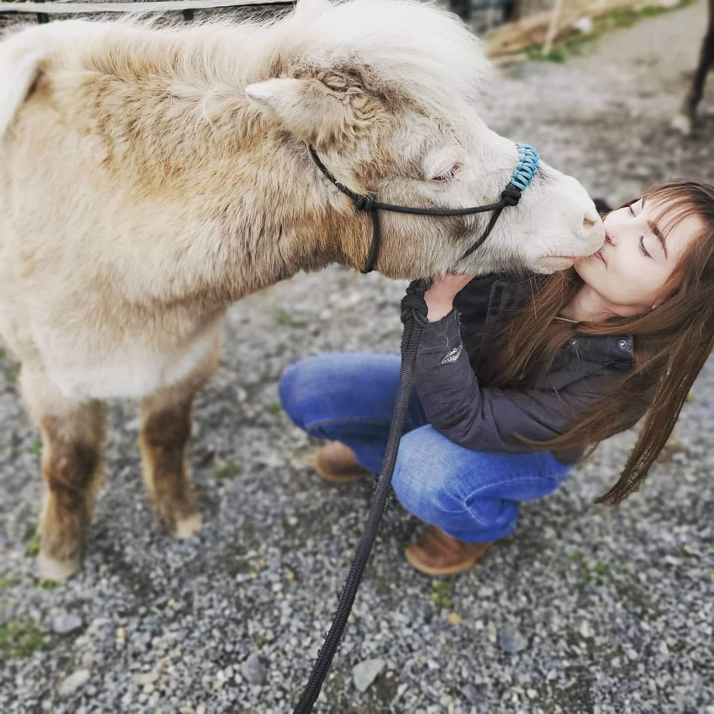 A young woman in a black jacket and jeans squatting down, kissing a light-colored goat on the nose, outdoors on a gravel surface.