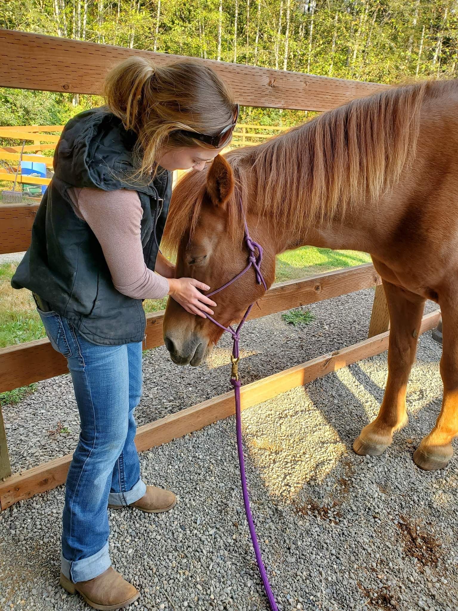 A woman gently petting a brown horse during daytime outdoors, with a wooden fence and trees in the background.