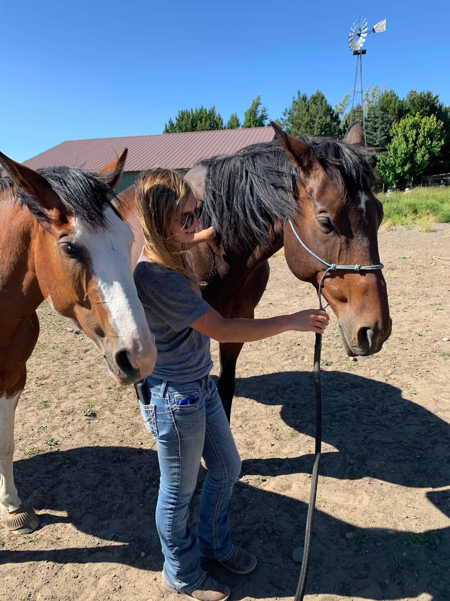 A young woman wearing sunglasses and jeans stands next to two horses, petting one horse's face with both hands. The background shows a barn, green trees, and a windmill under a clear blue sky.