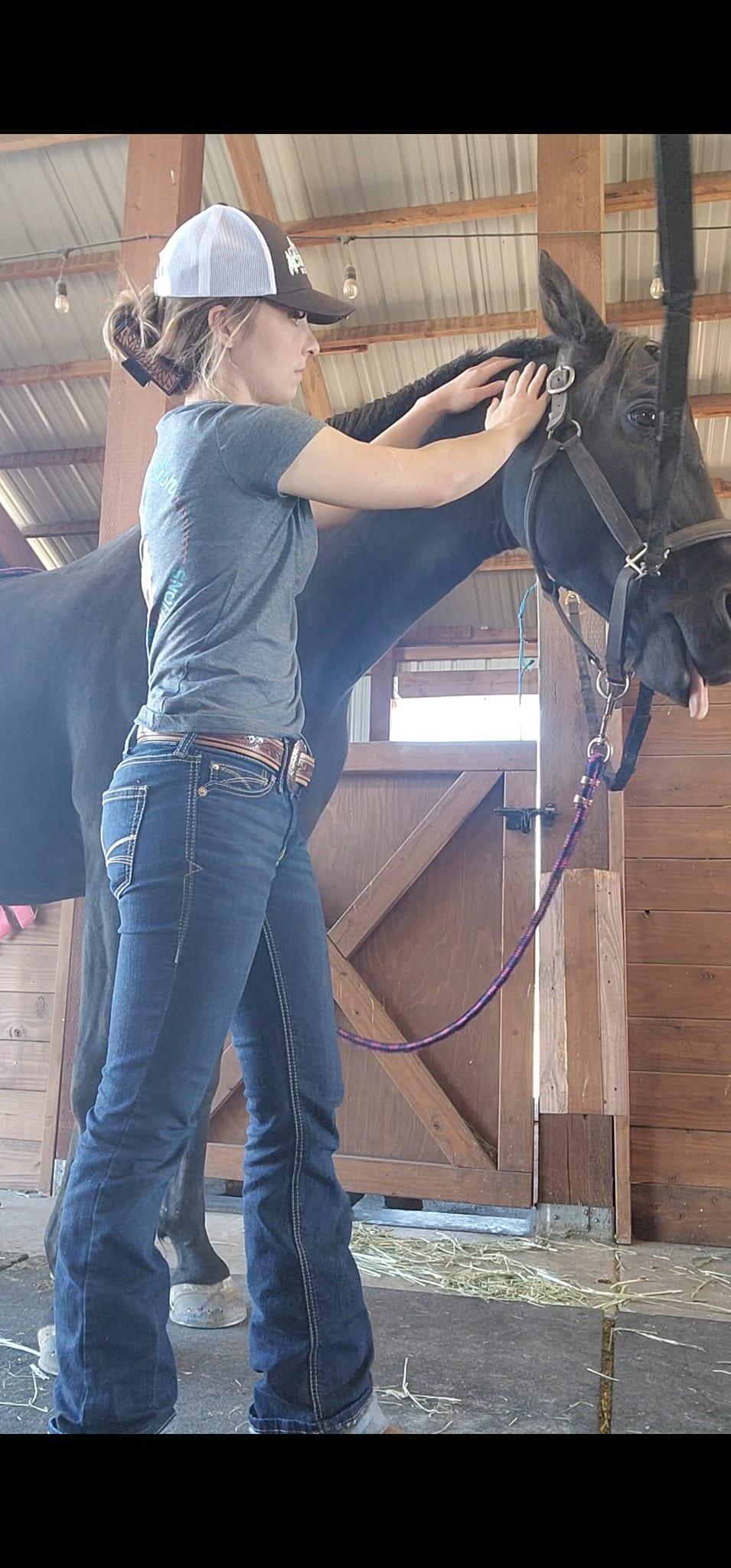 A woman wearing a baseball cap, gray t-shirt, and jeans massaging a black horse inside a wooden stable.