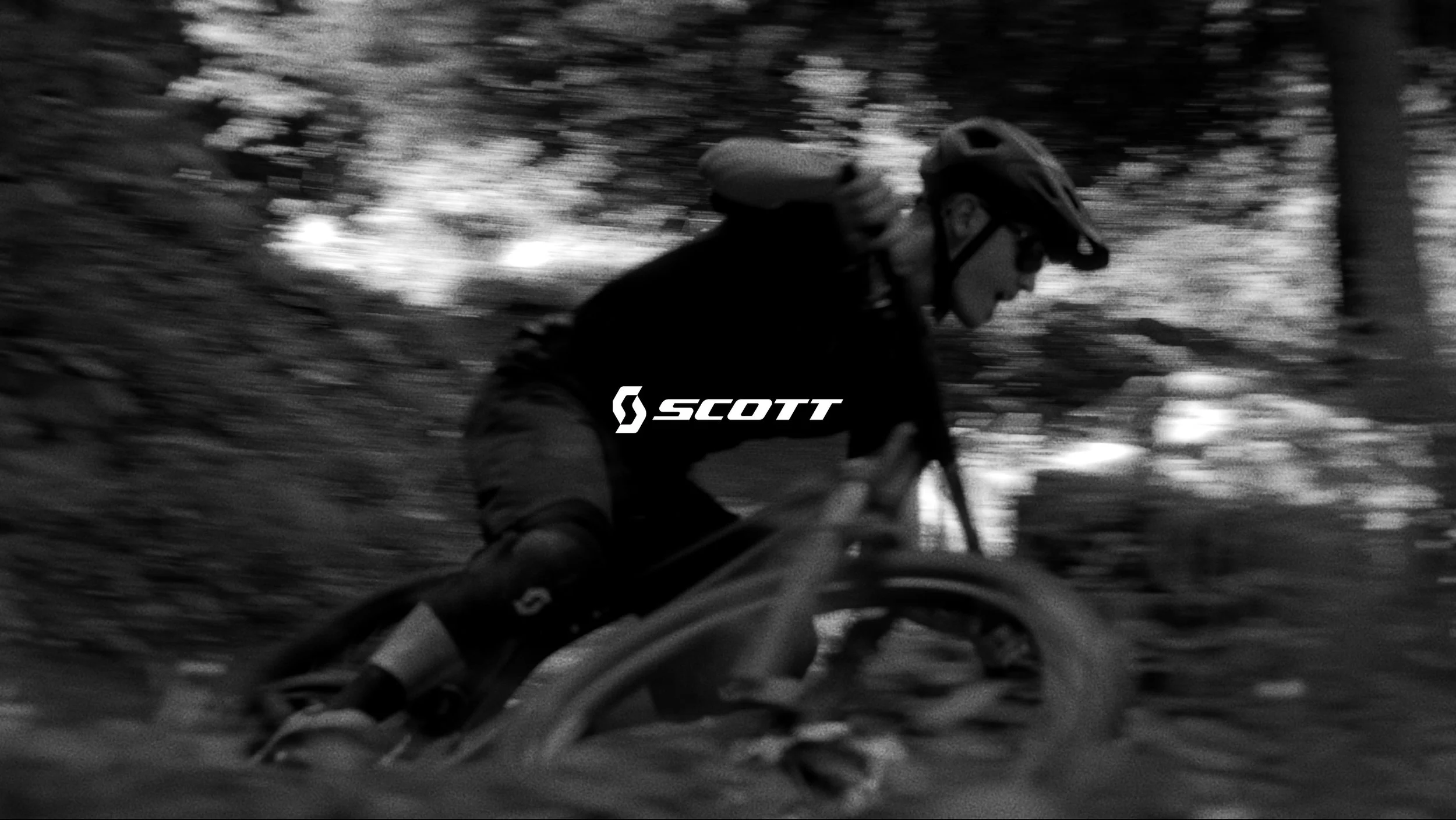 Scott