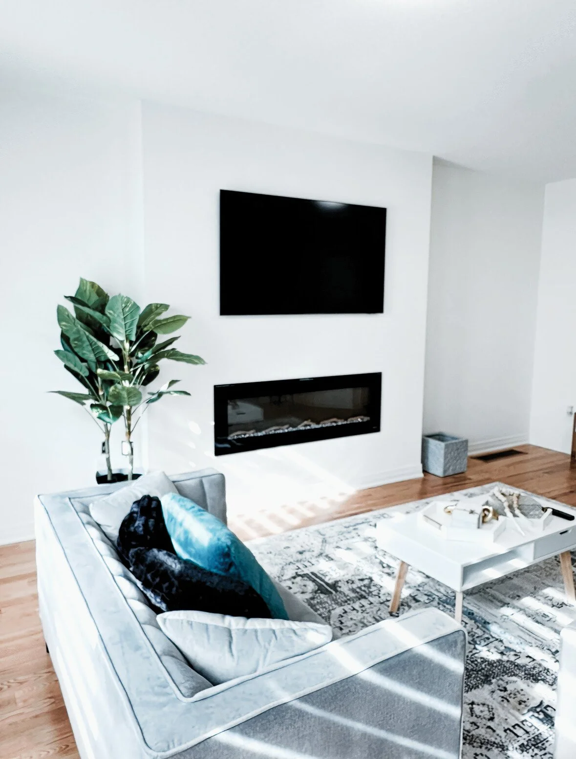 Modern living room with gray sofa, flat screen TV, fireplace, and decorative plants. Features a white coffee table and patterned rug.