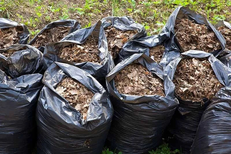 Compost &amp; Brush Collection Schedule
