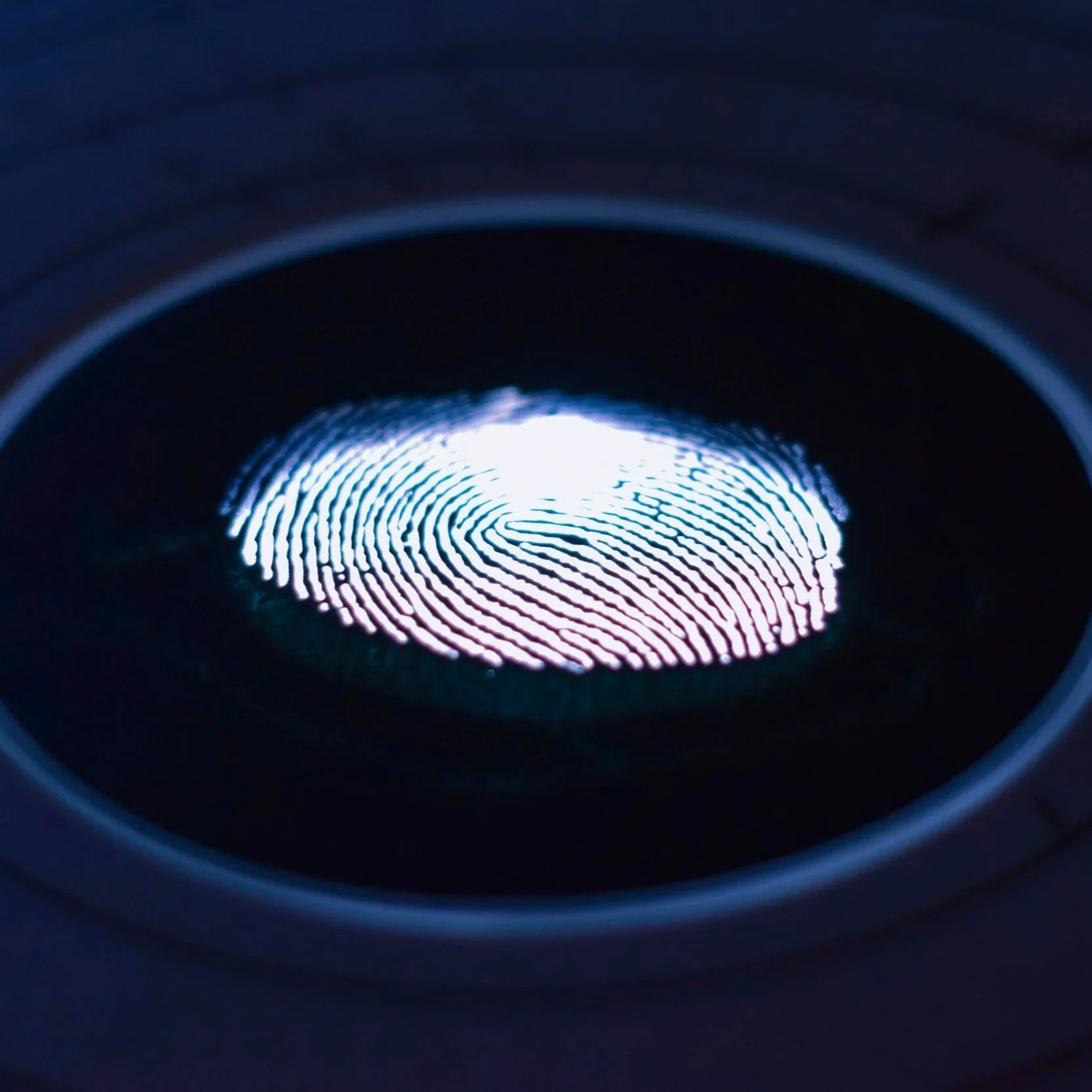 The Biometric State: Mapping the Body for Control