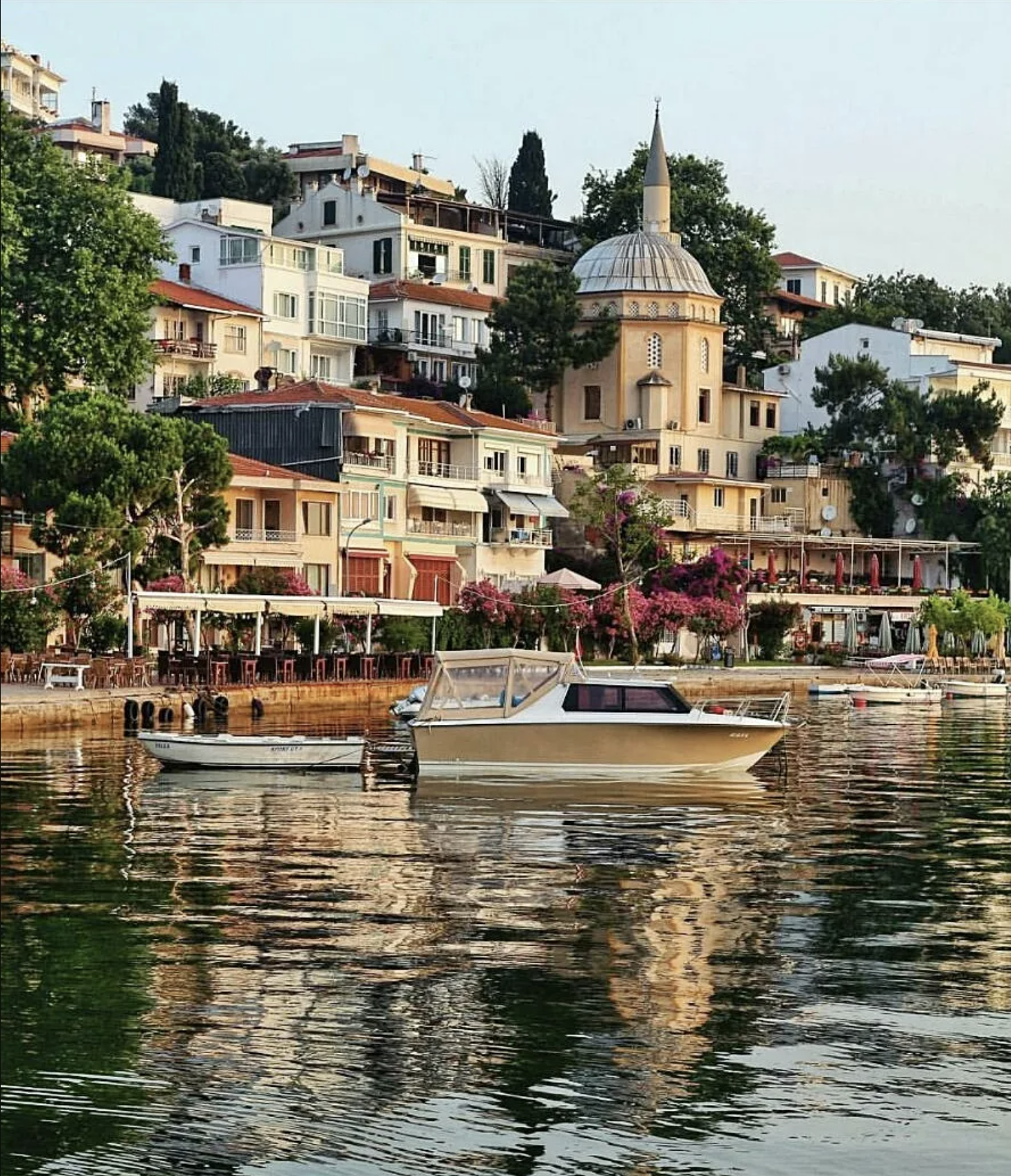 Screenshot 2025-01-27 at 12.44.36 PM.png