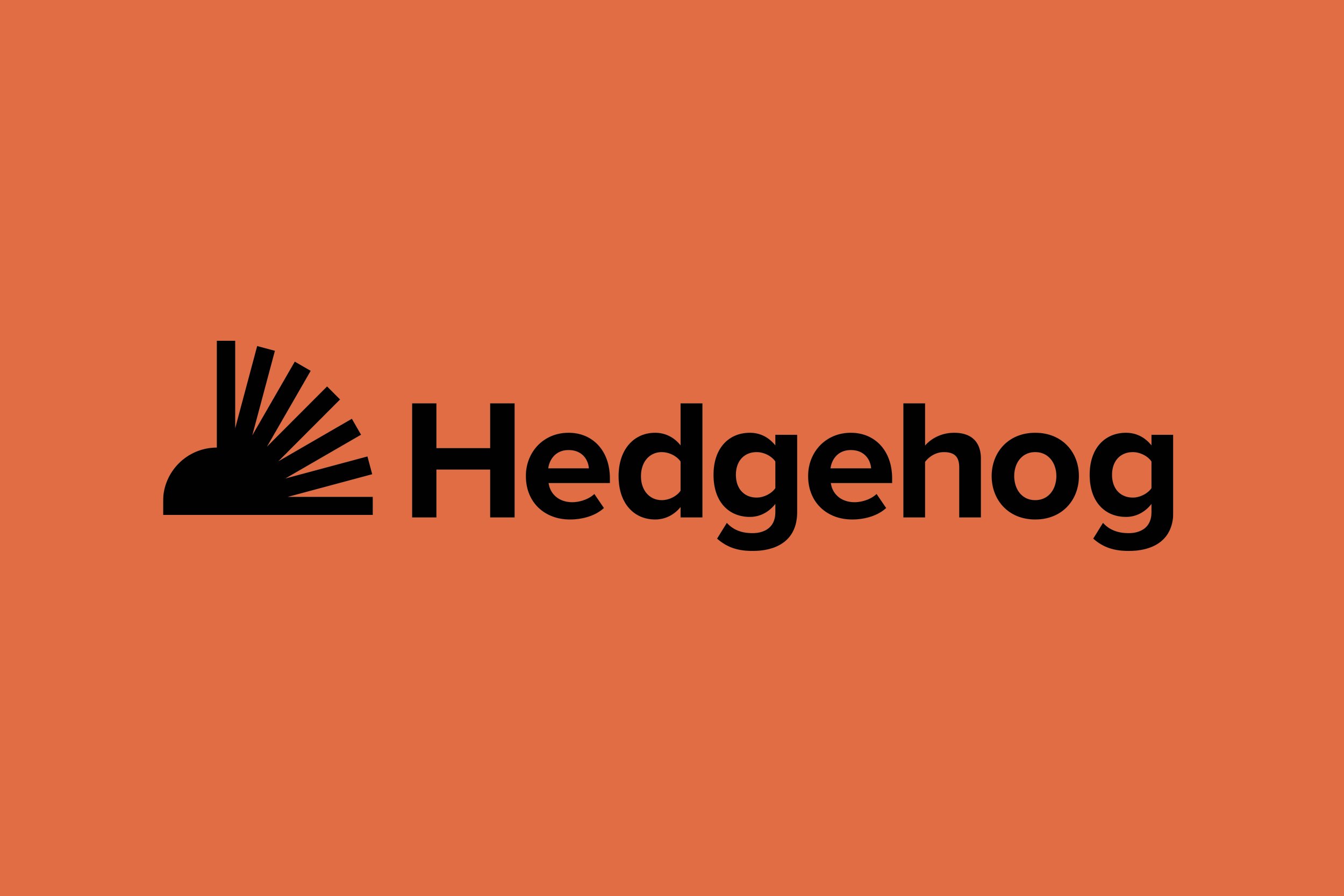 Hedgehog5.jpg