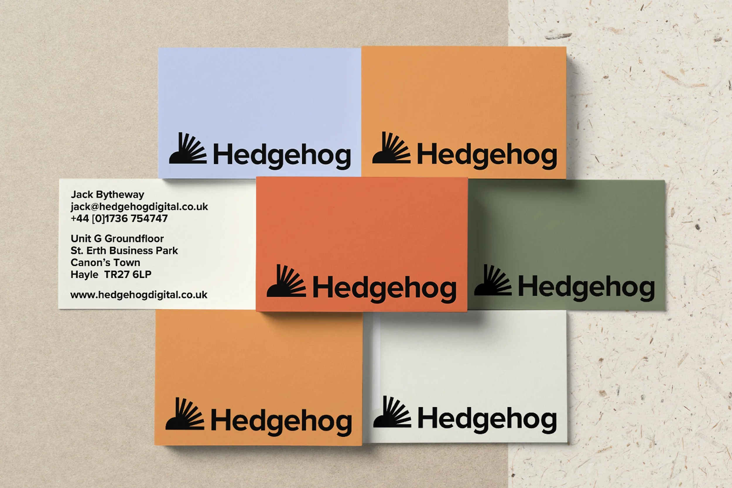 Hedgehog1.jpg