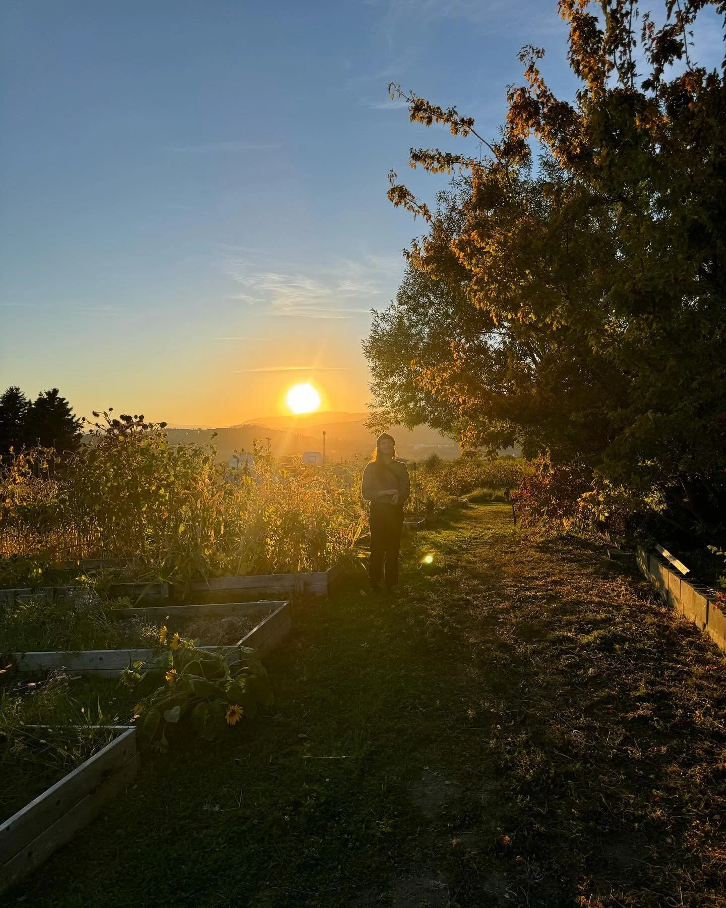 October was a good good  month filled with of lots of music making with awesome friends :) tours wrapped with @taylooooooooooooooor and @jacobbrodovsky I am missing being out there playing songs with them&hellip;&hellip;but lots more to come :)

Craw