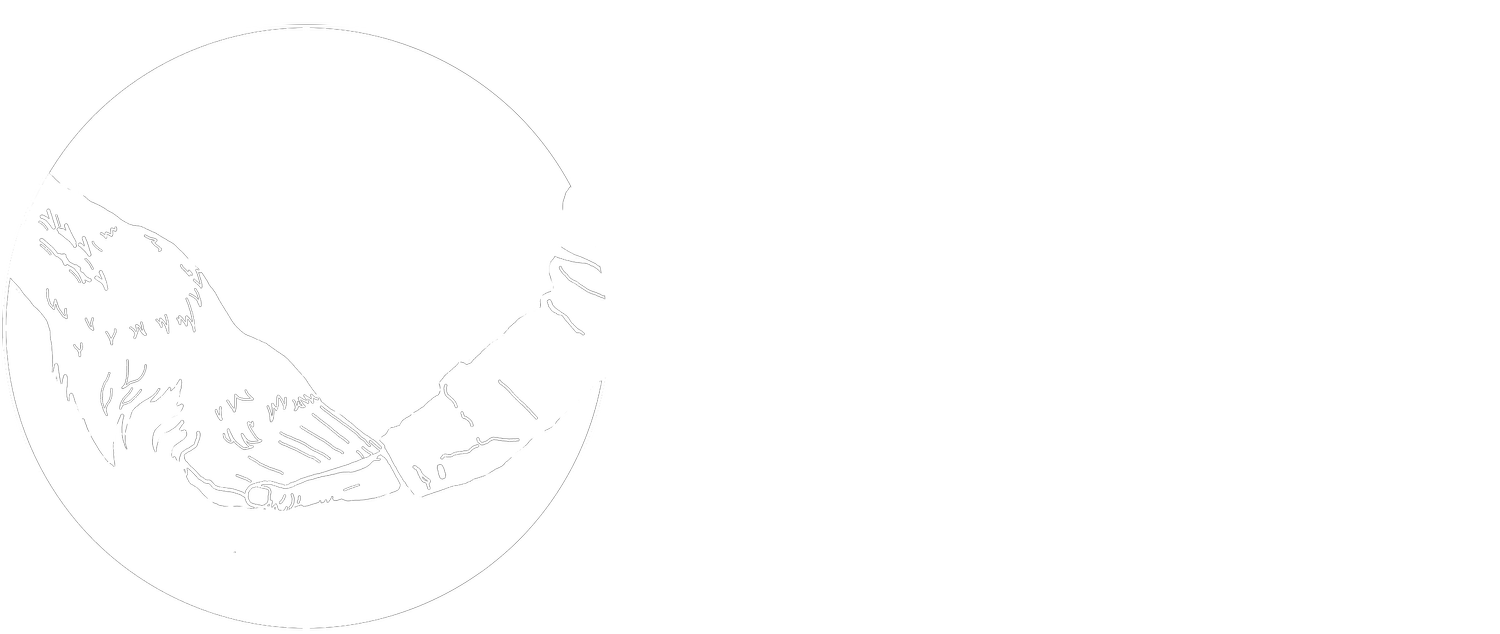 Hoof in Hand Equine-Assisted Learning