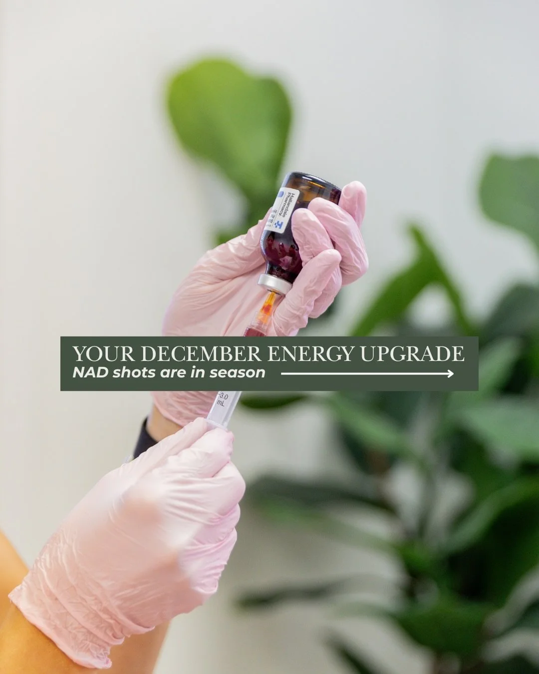 Your December energy doesn&rsquo;t have to run on caffeine and stress.
Swipe to discover how NAD naturally powers your mood, your metabolism, and your 
stamina all season long. Book your appointment now!
