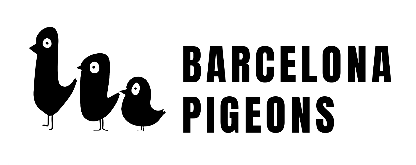 BARCELONA PIGEONS