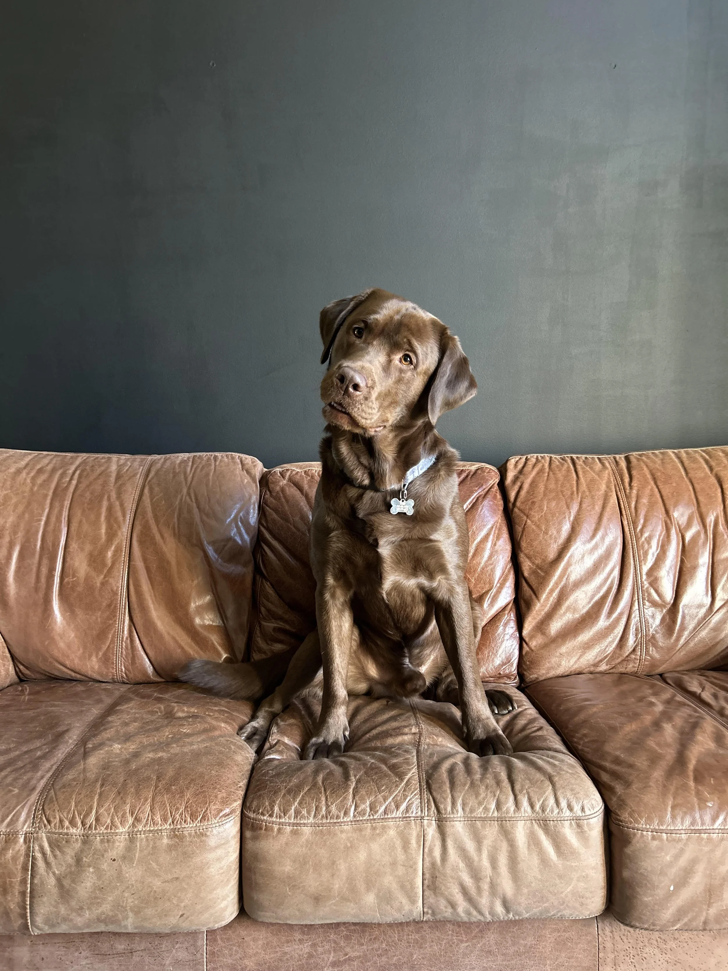 Can You Be Anxious and Grateful at the Same Time?