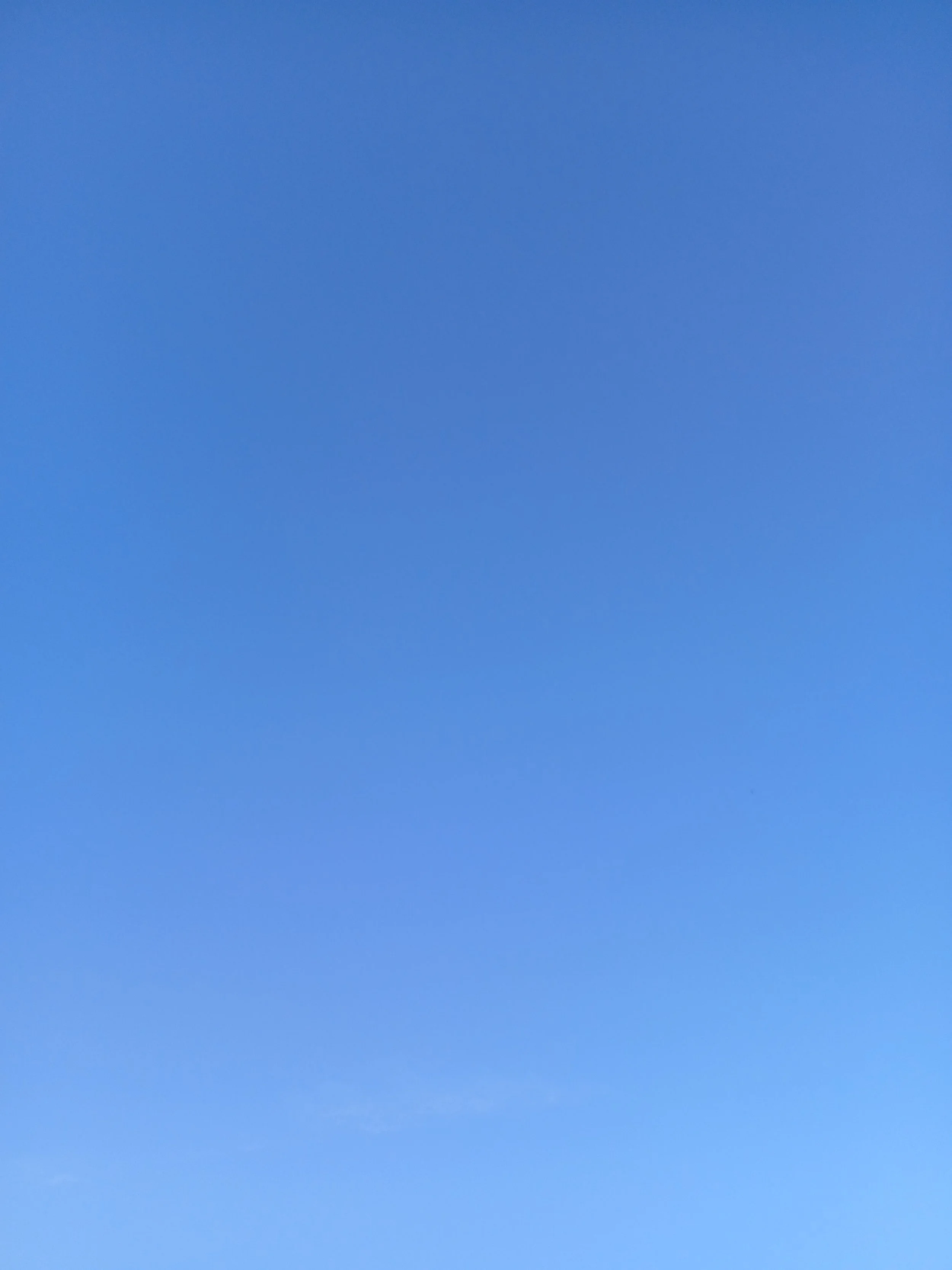 11.13.25 - ‘Applewood’