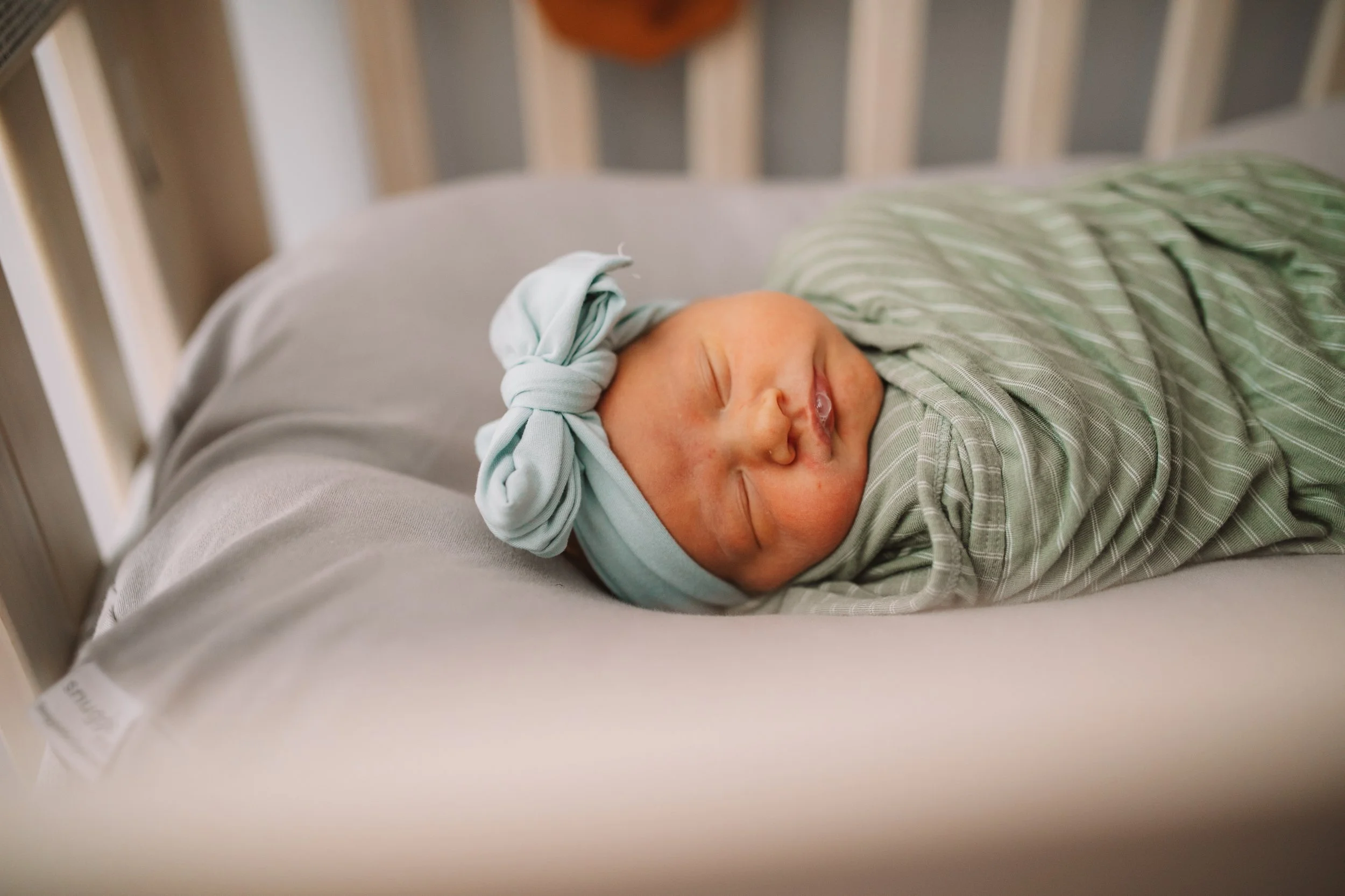 Eloise - Fresh 48-041.jpg