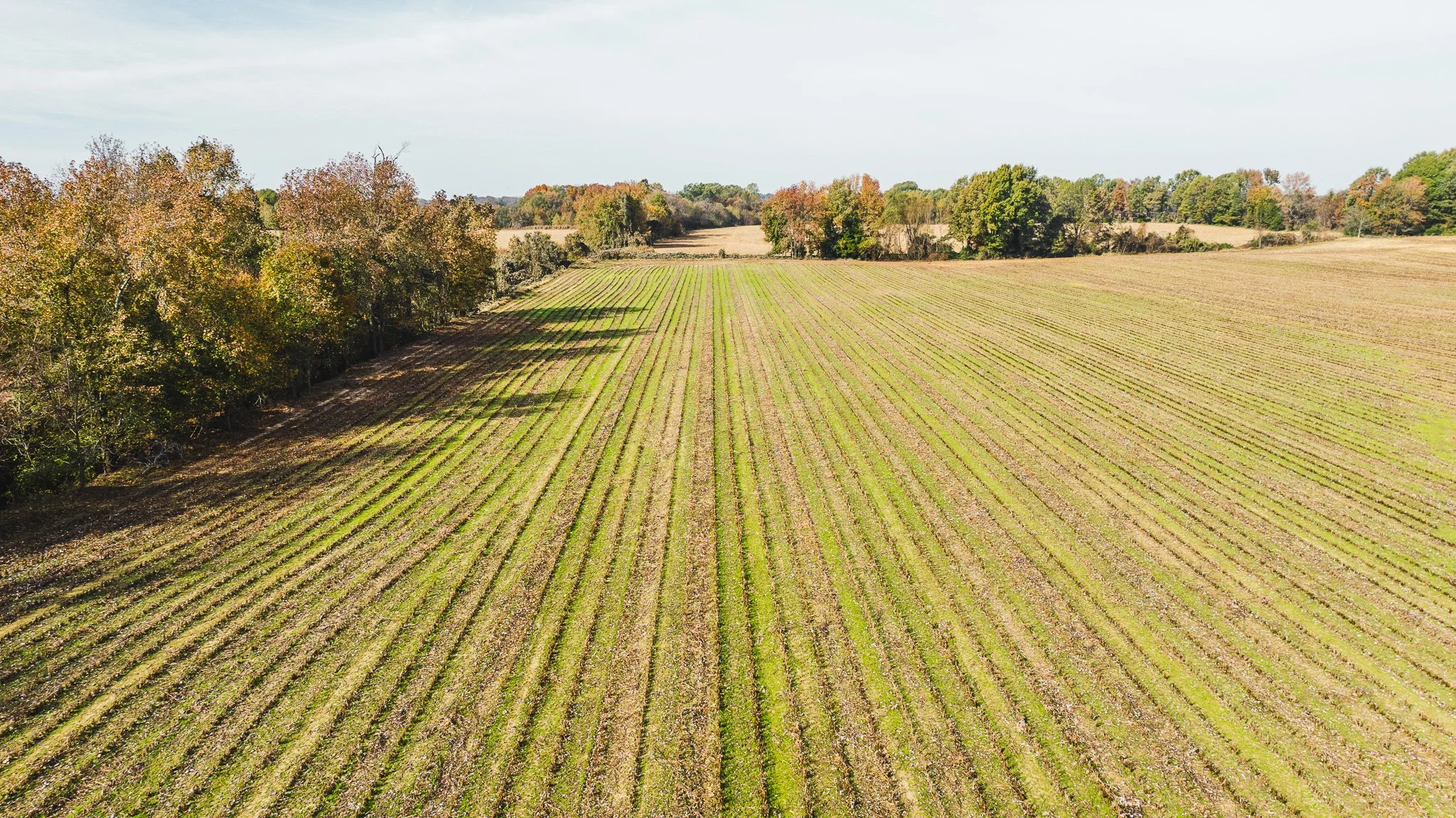 DJI_20251113100754_0023_D.jpg