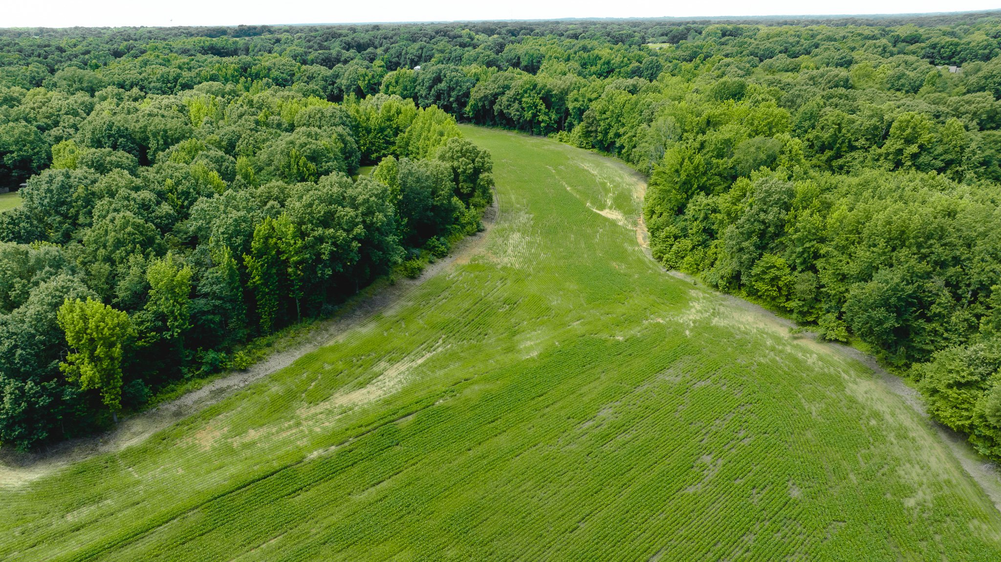 DJI_20260613181535_0030_D.jpg