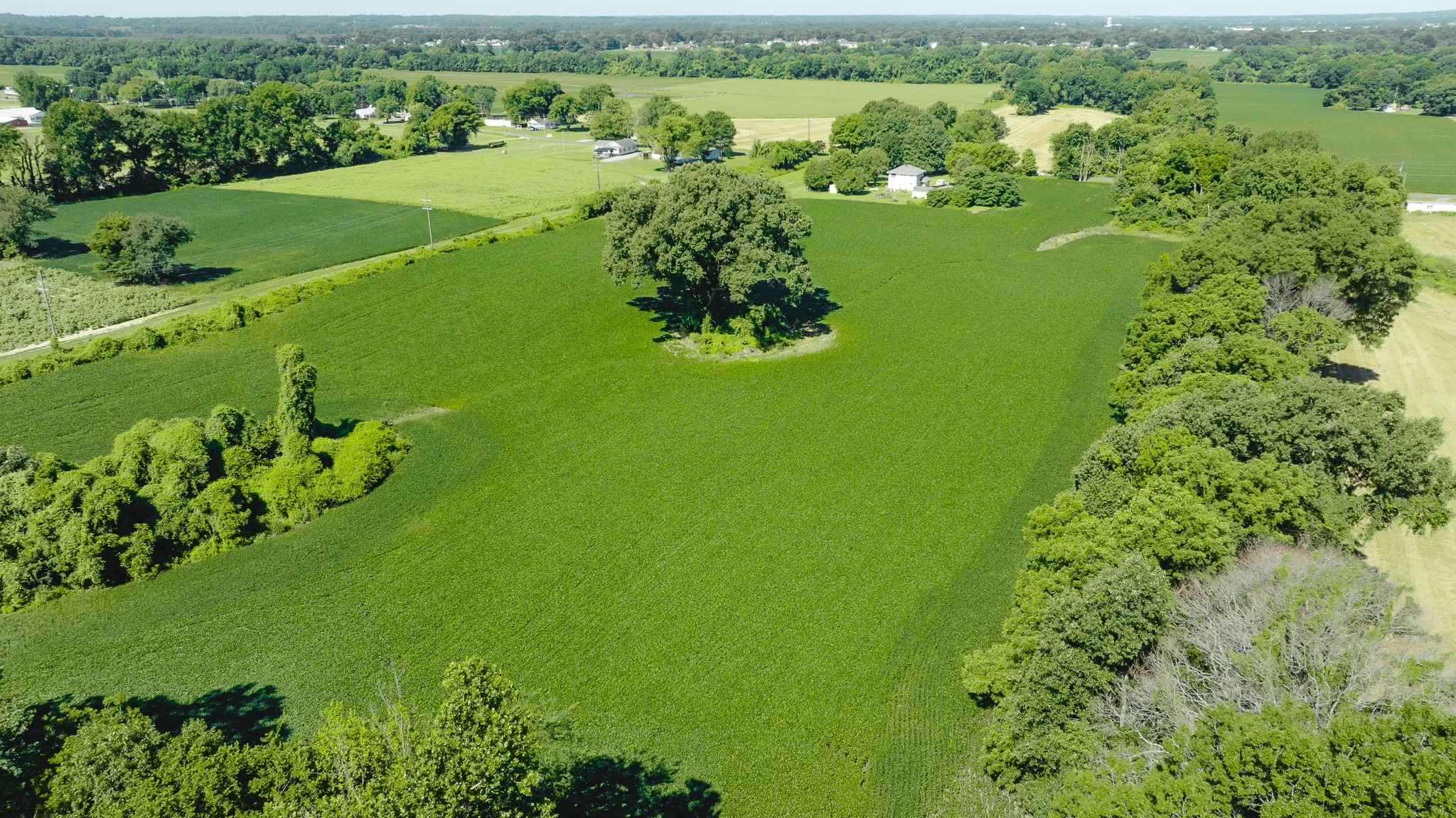 DJI_20260614170422_0017_D.jpg