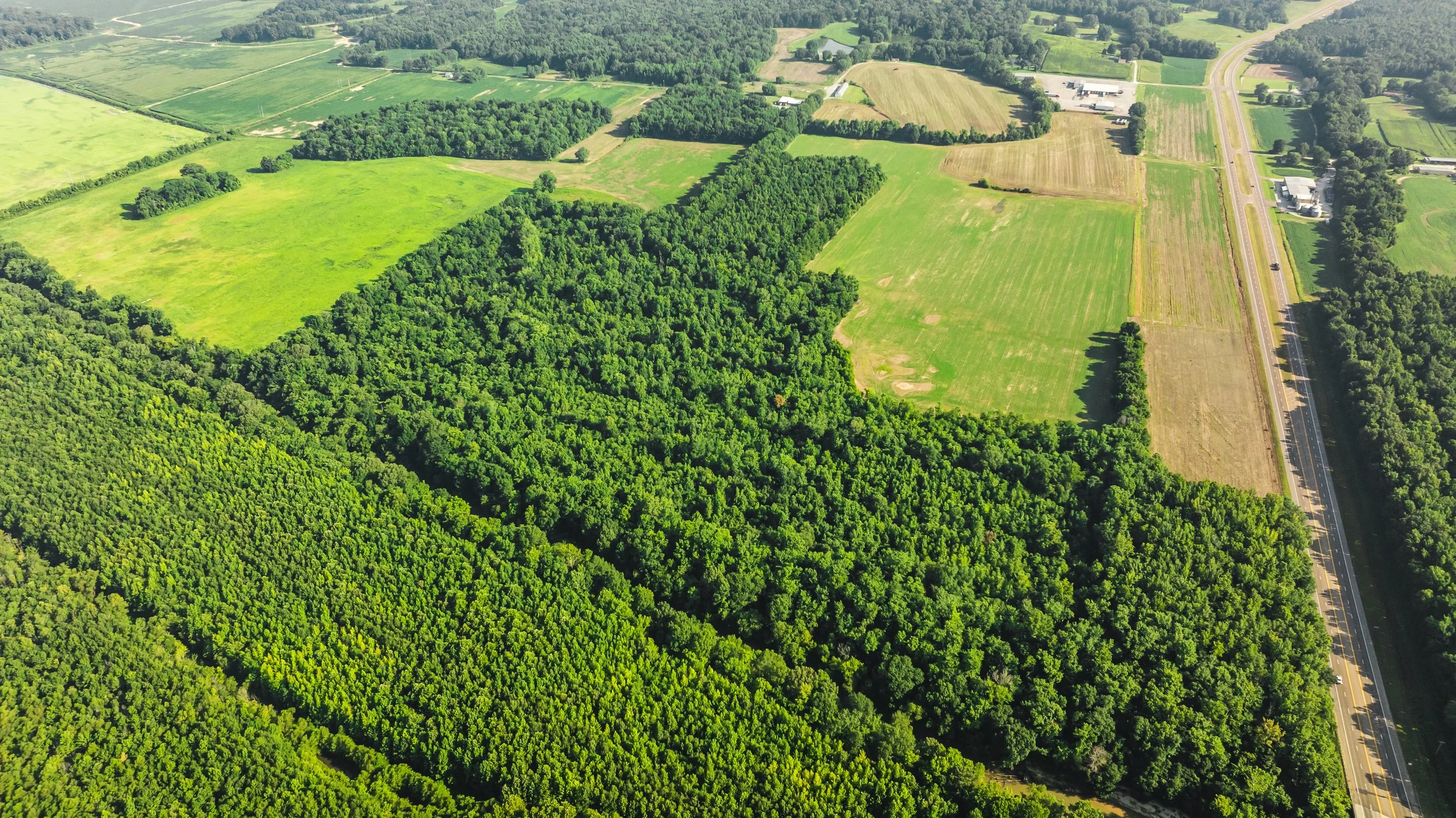 DJI_20250729084423_0006_D.jpg