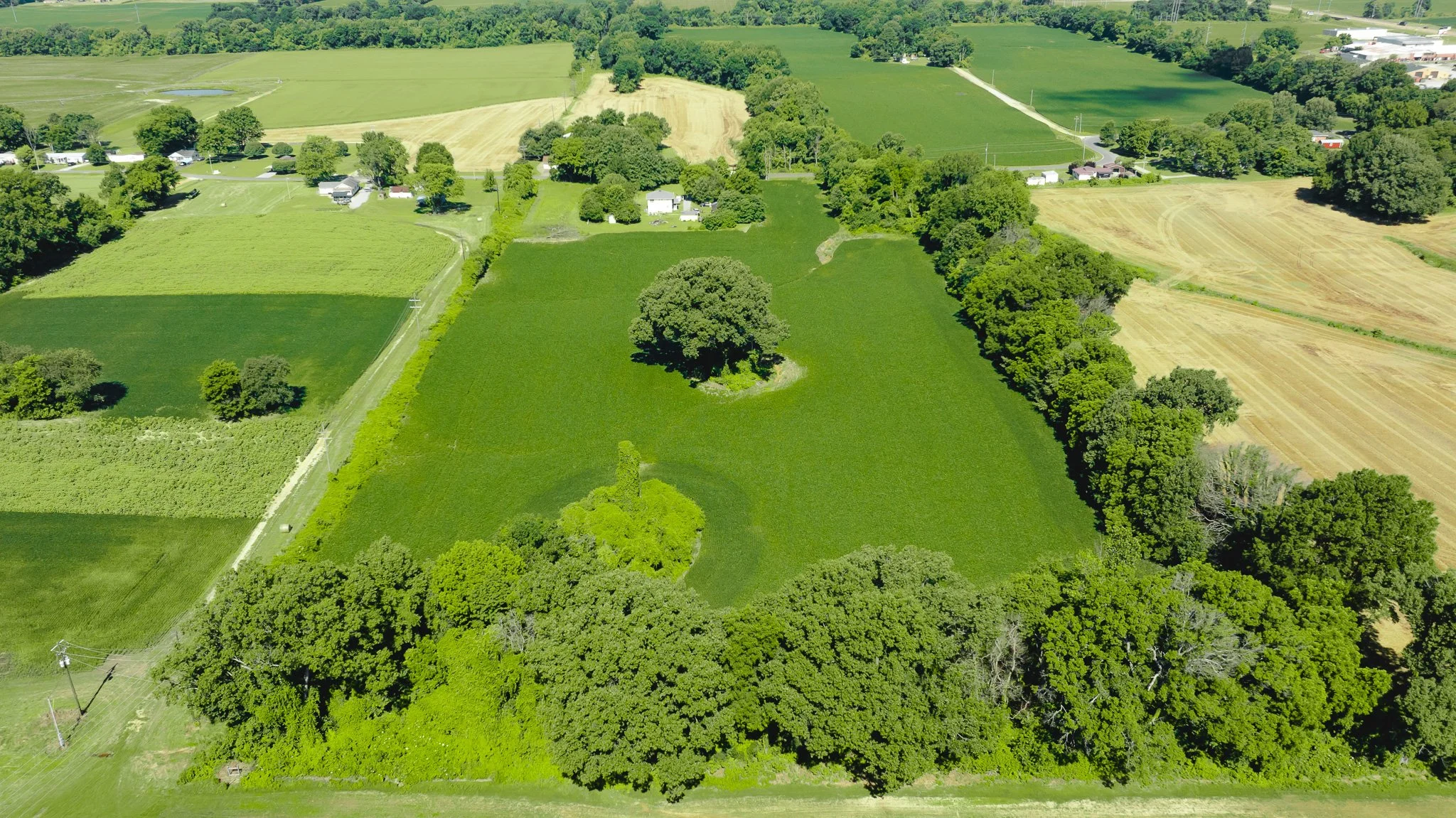 DJI_20260614165917_0005_D.jpg
