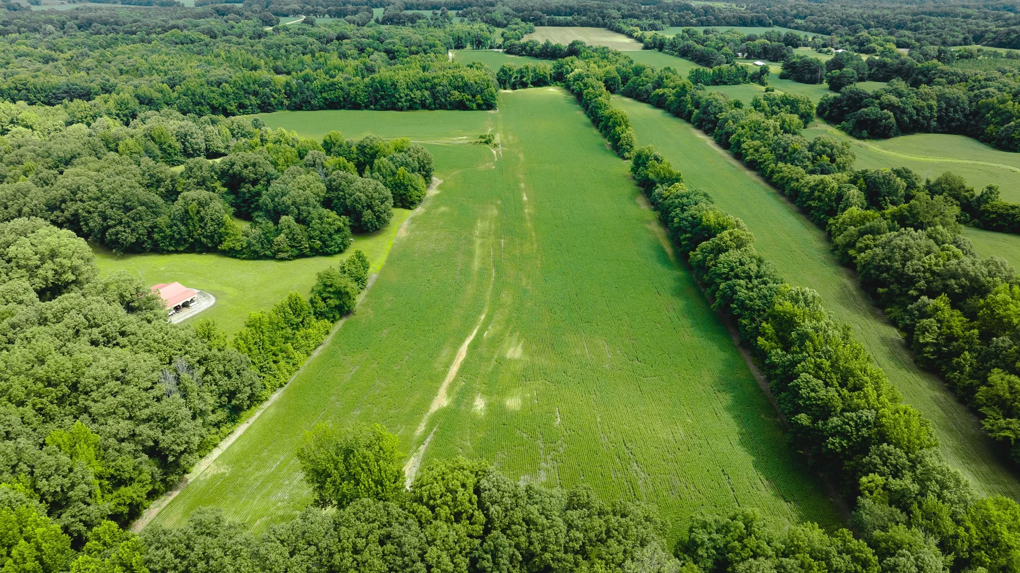 DJI_20260613181409_0026_D.jpg