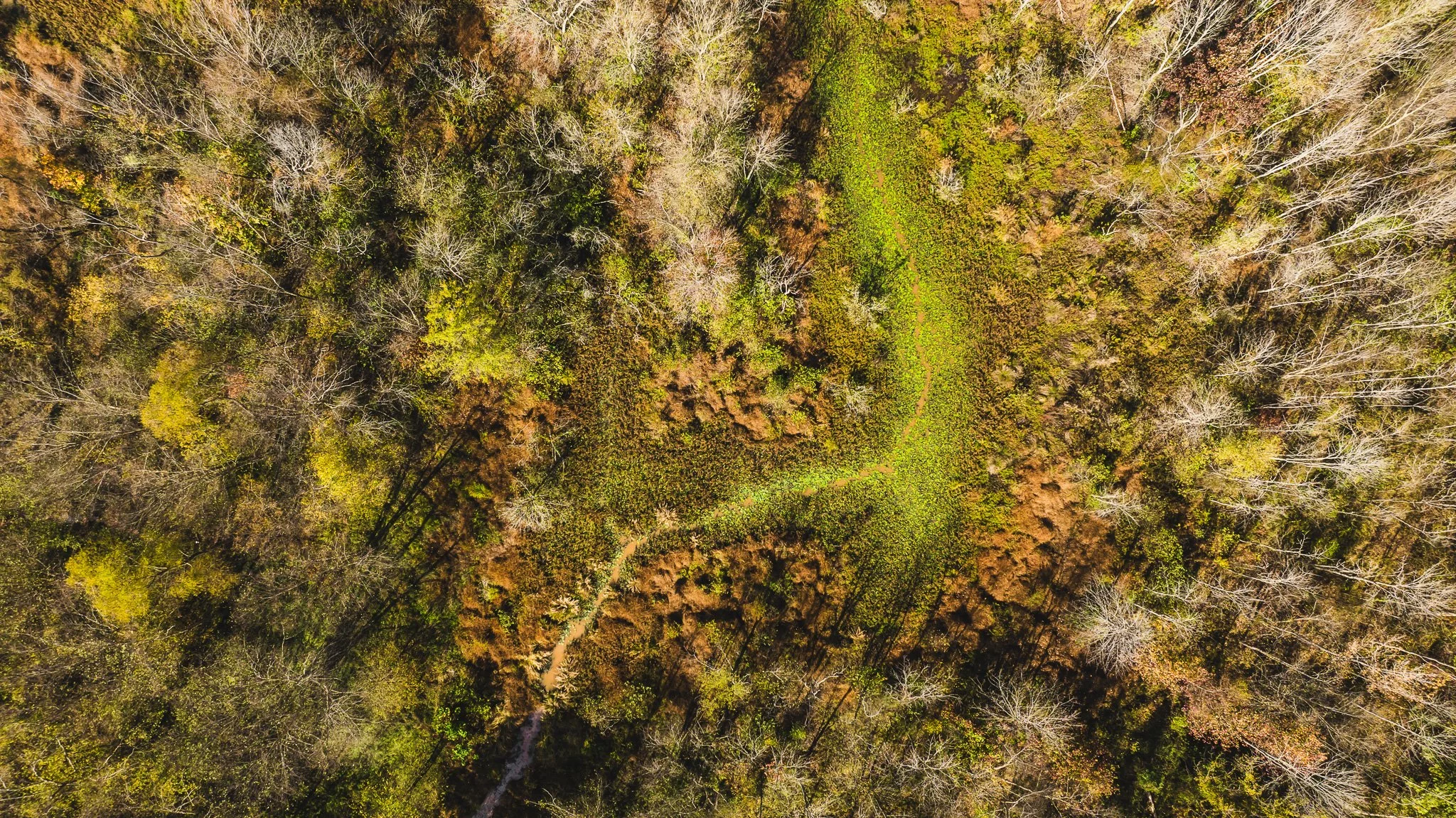 DJI_20241029115011_0011_D.jpg