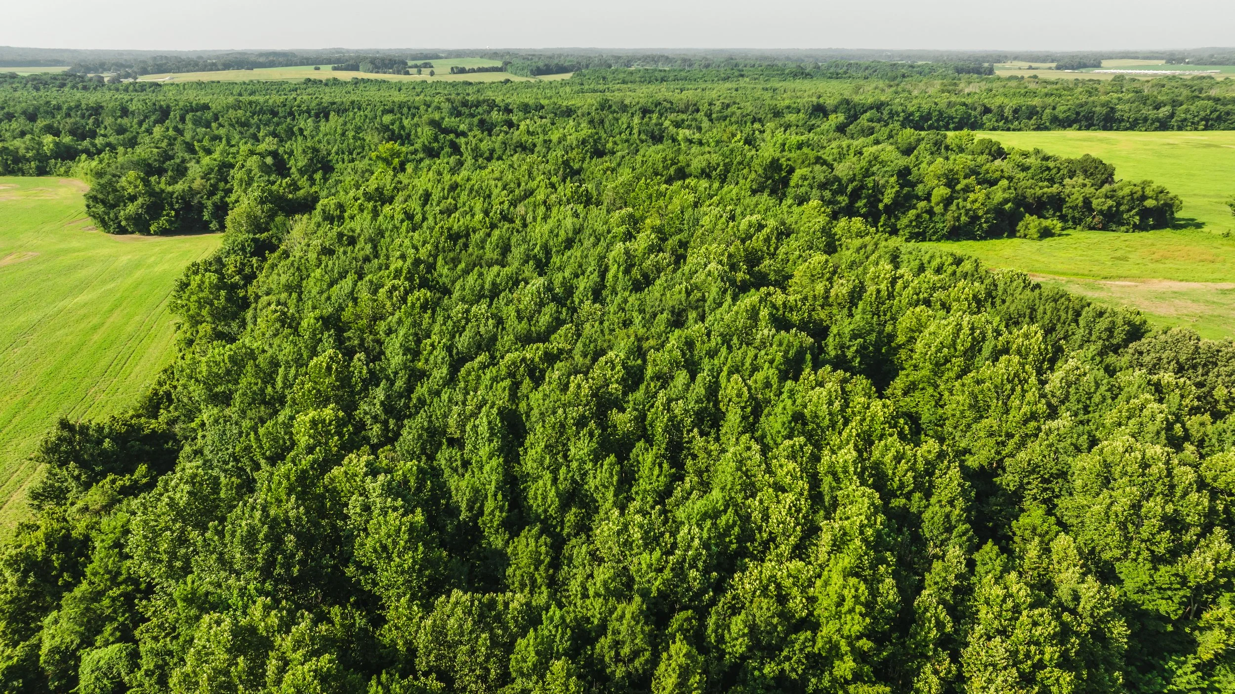 DJI_20250729085755_0031_D.jpg