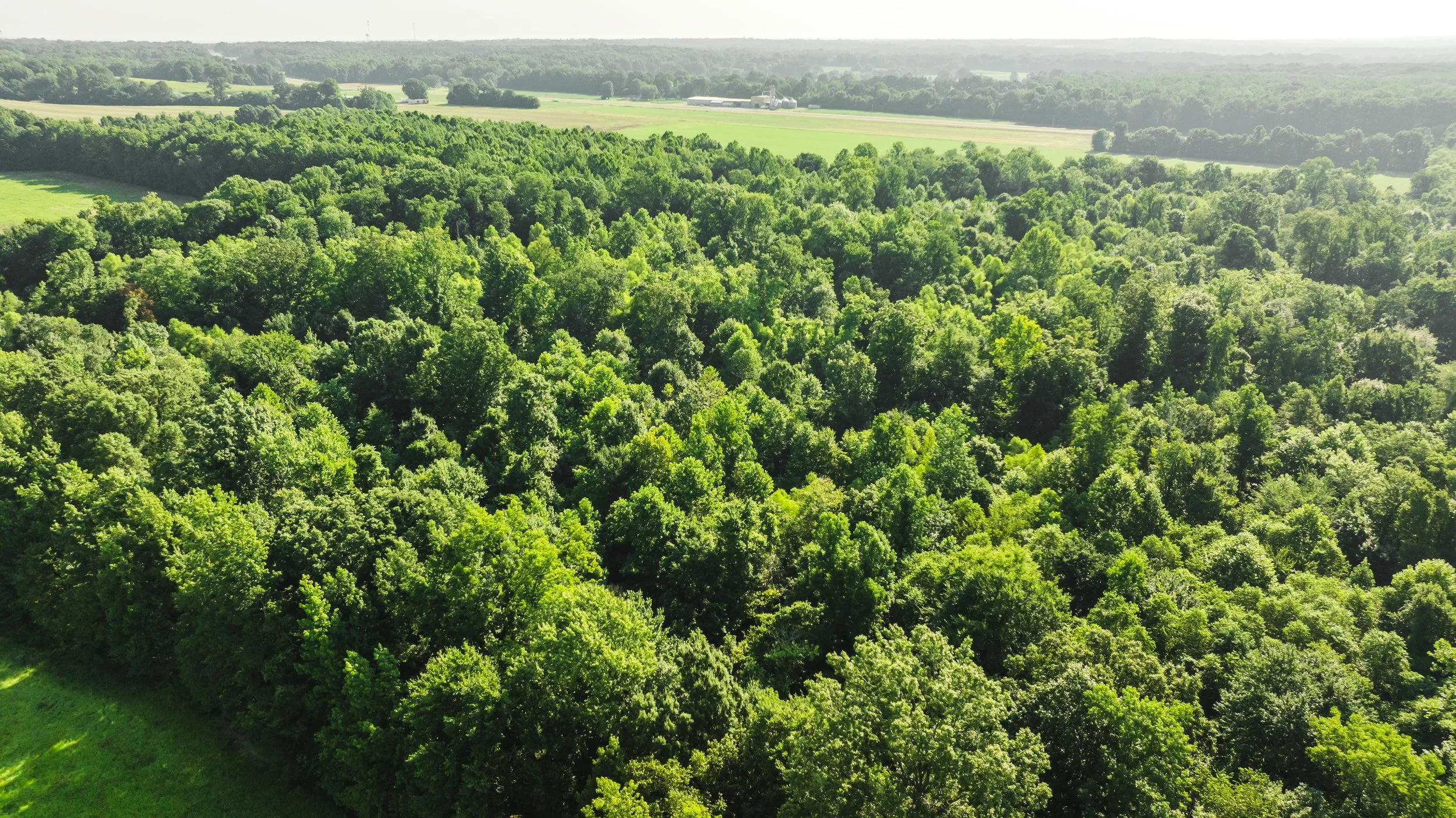 DJI_20250729085856_0033_D.jpg