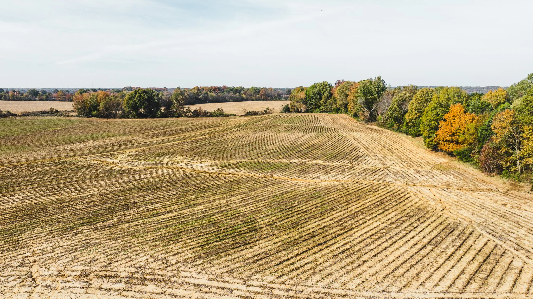 DJI_20251113100850_0026_D.jpg