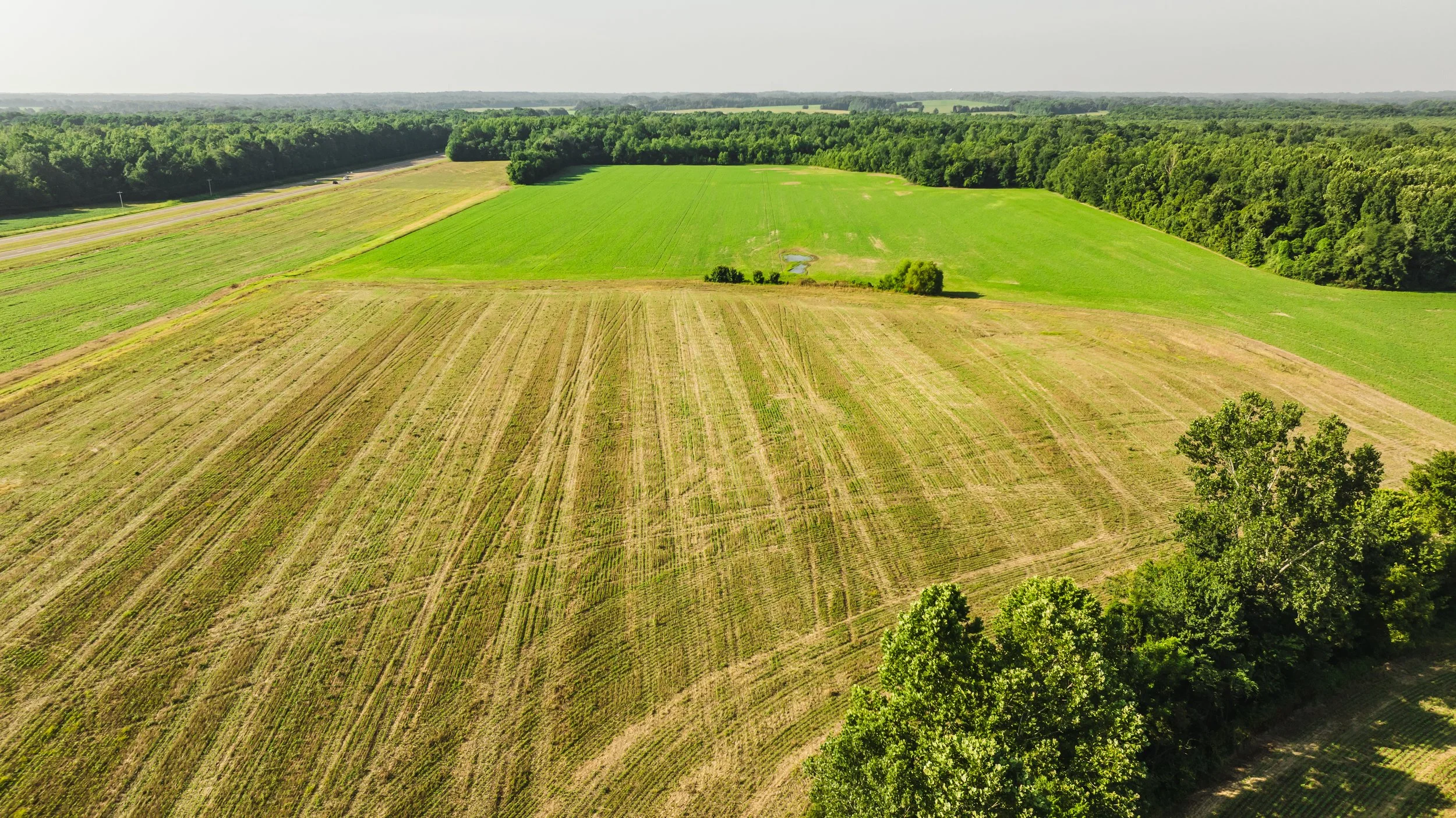 DJI_20250729084834_0014_D.jpg