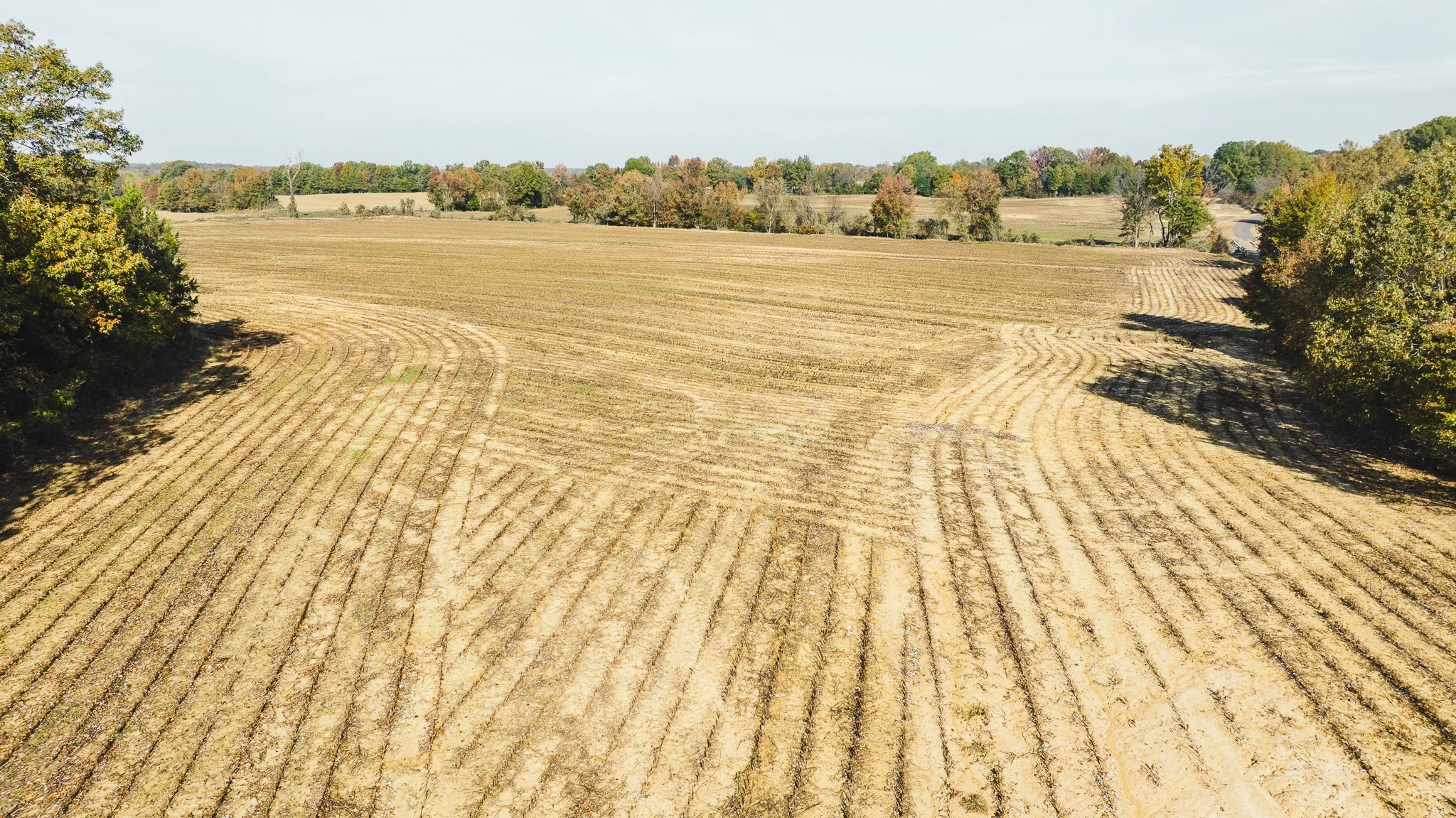 DJI_20251113095601_0010_D.jpg