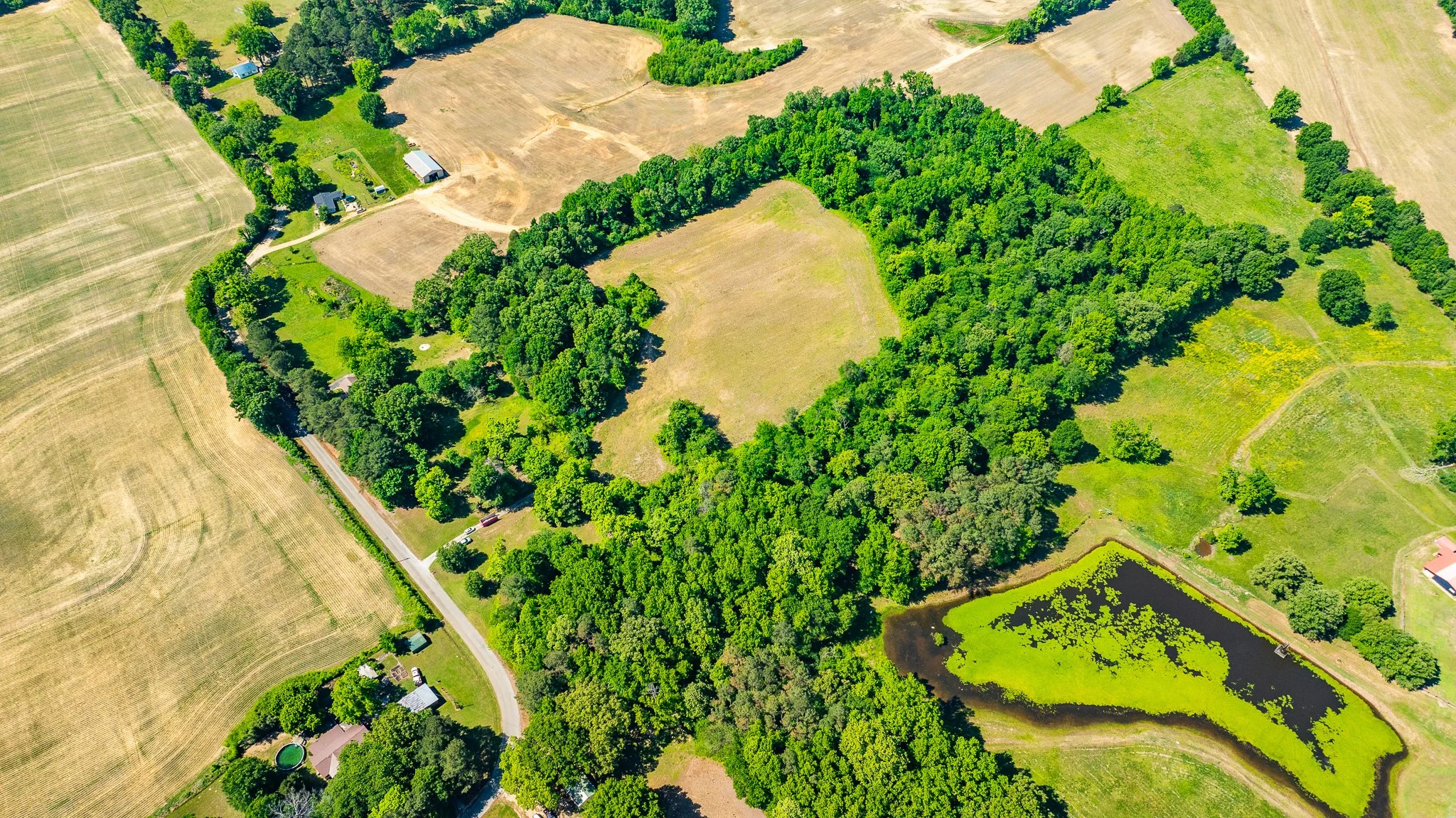 dji_fly_20260502_174524_0011_1777918955190_photo.jpg