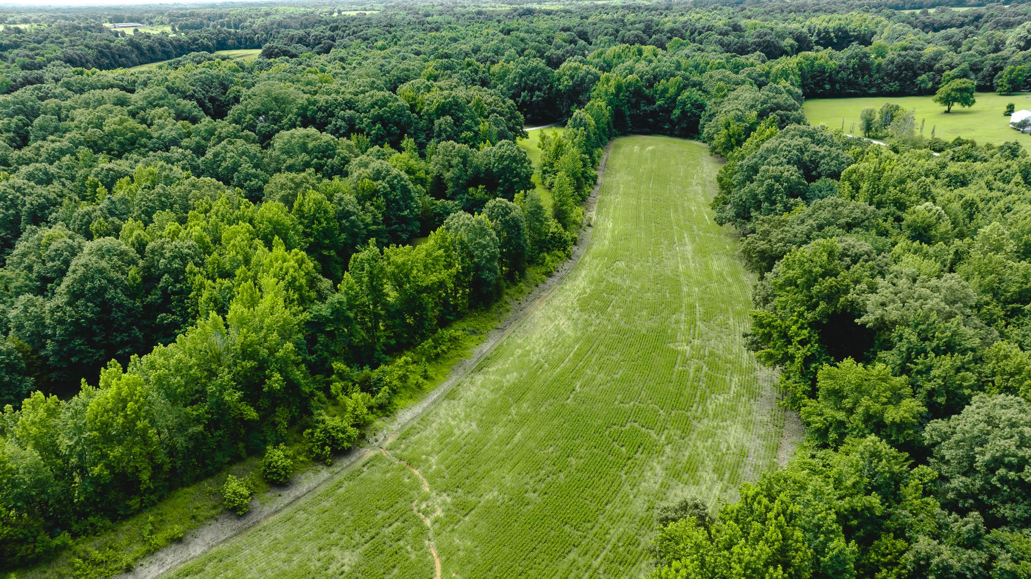 DJI_20260613181603_0032_D.jpg