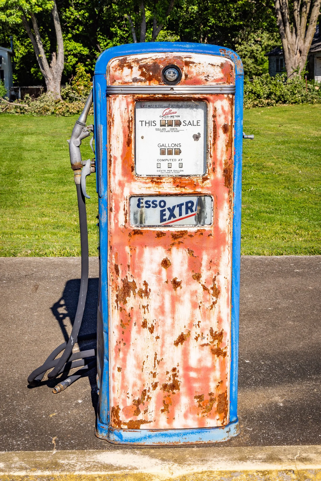 FT8A9558 (1).jpg