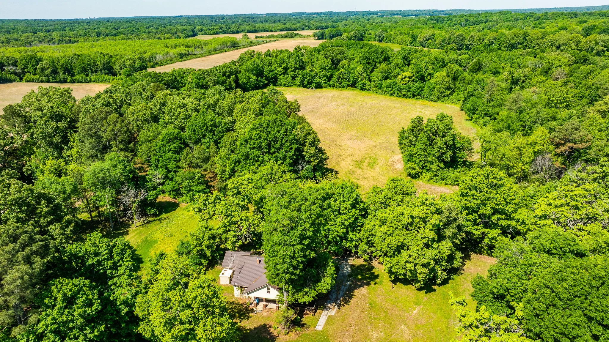 dji_fly_20260502_174912_0020_1777918950868_photo.jpg