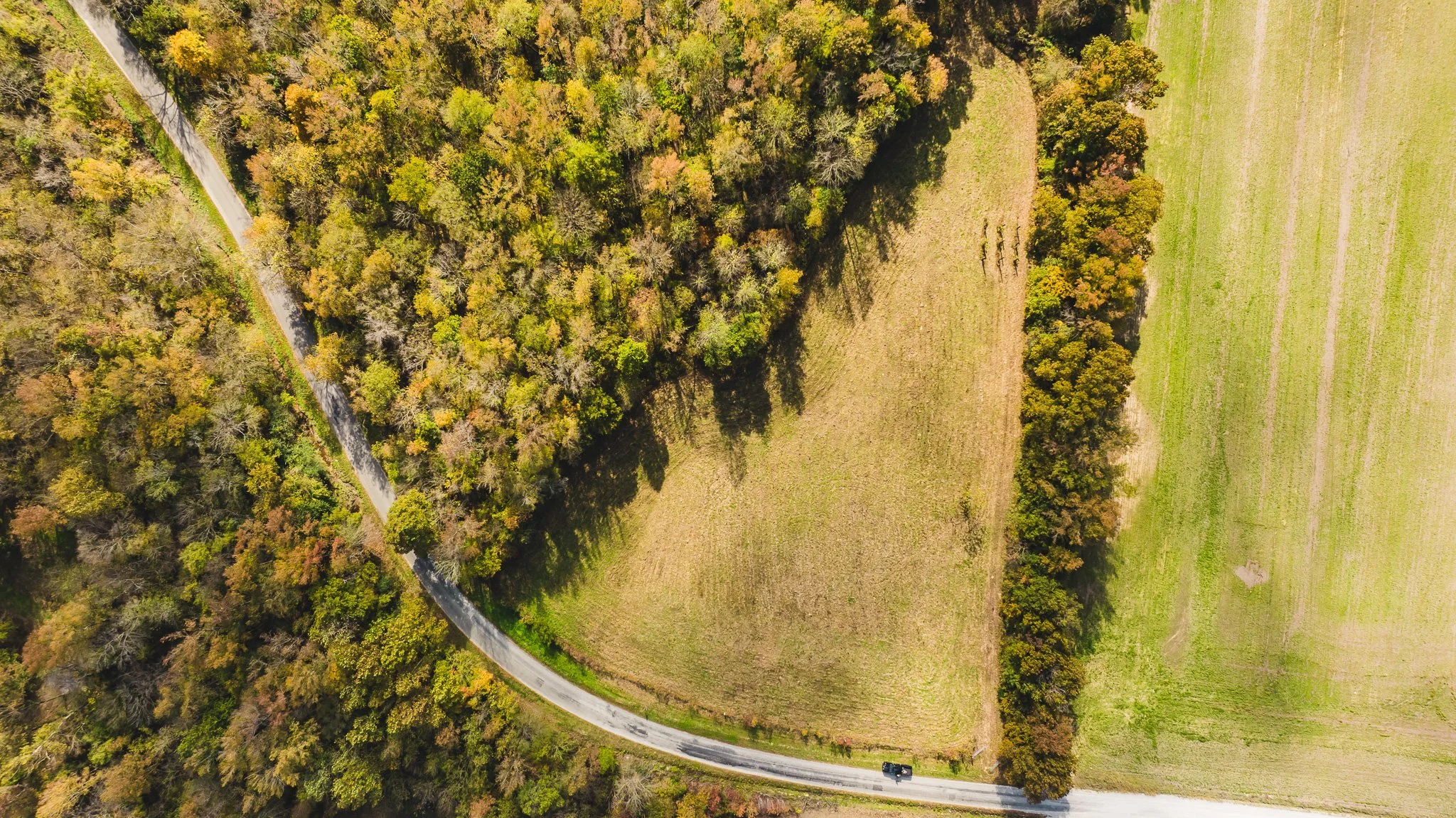 DJI_20241029114158_0003_D.jpg